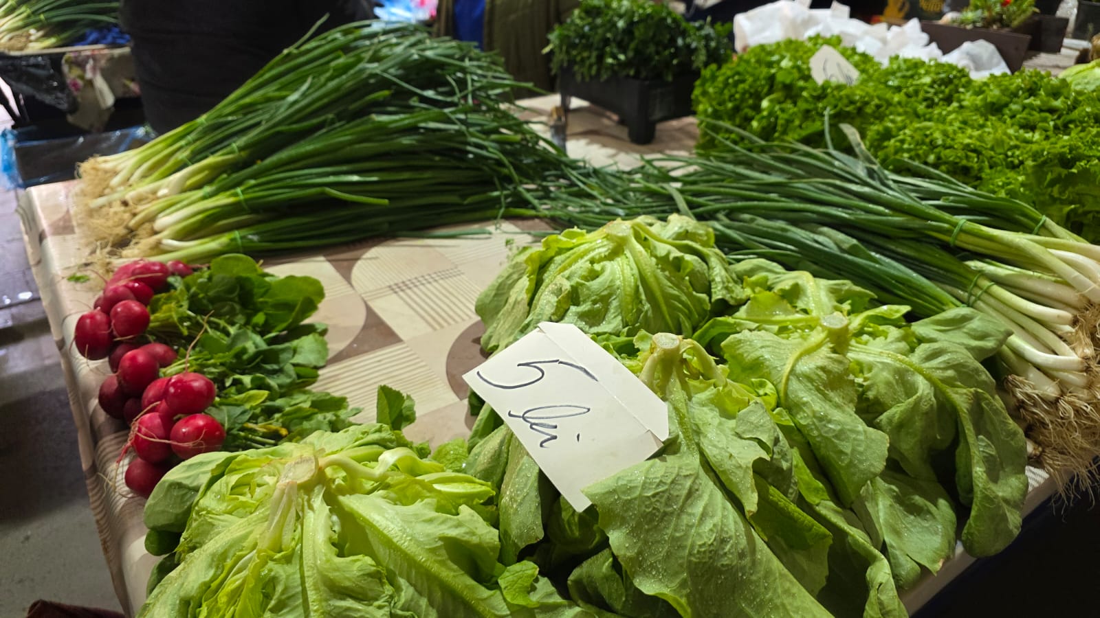 WhatsApp Image 2026-03-20 at 09.50.36