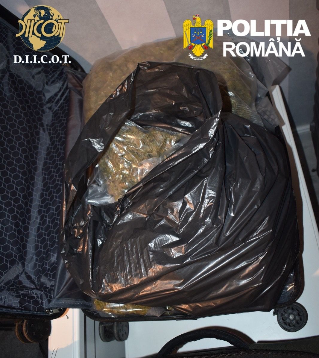 WhatsApp Image 2026-03-20 at 13.32.47