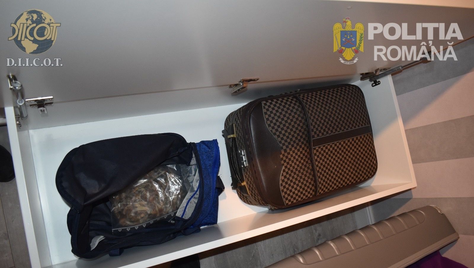 WhatsApp Image 2026-03-20 at 13.32.45 (2)