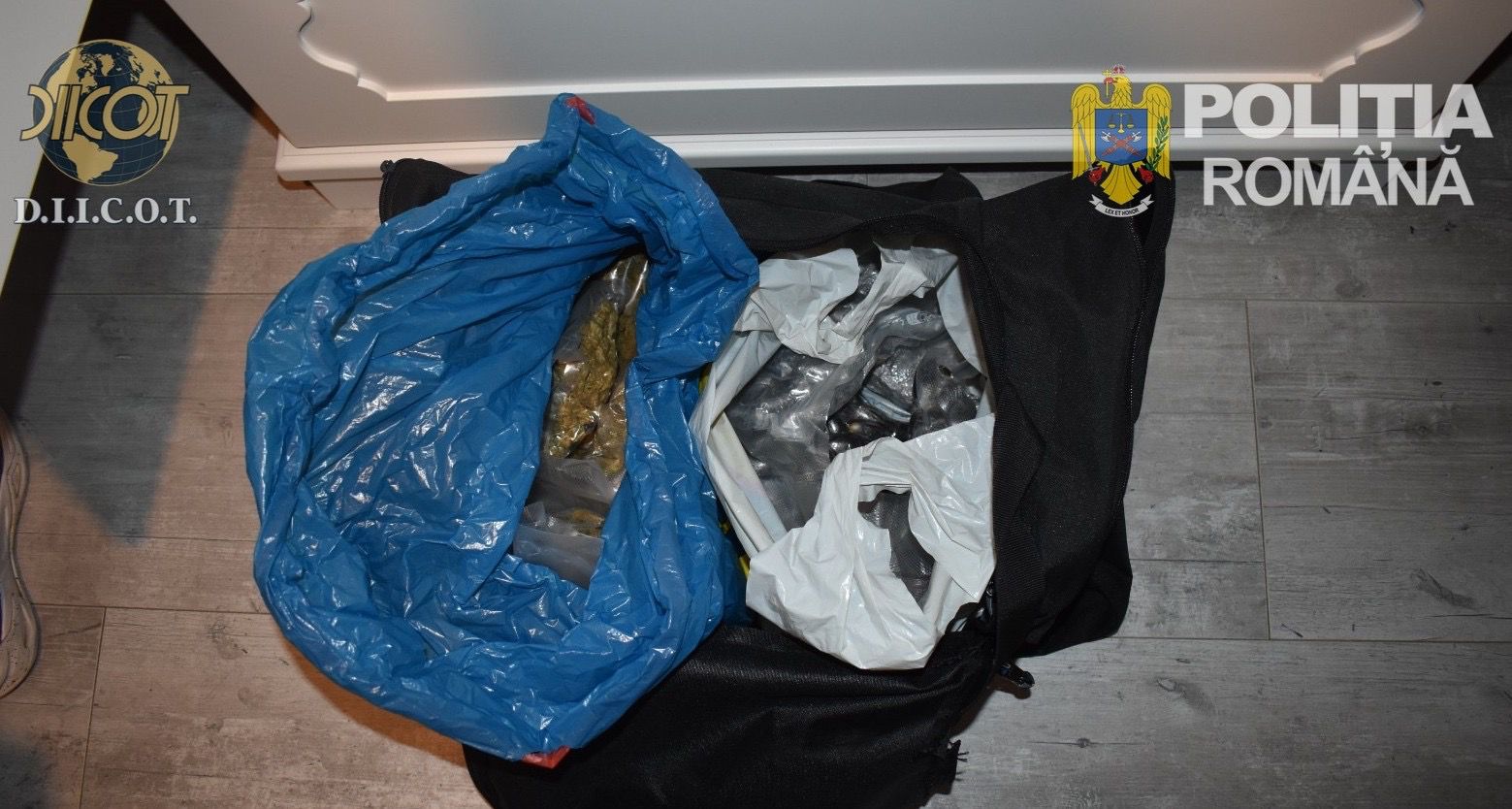 WhatsApp Image 2026-03-20 at 13.32.45