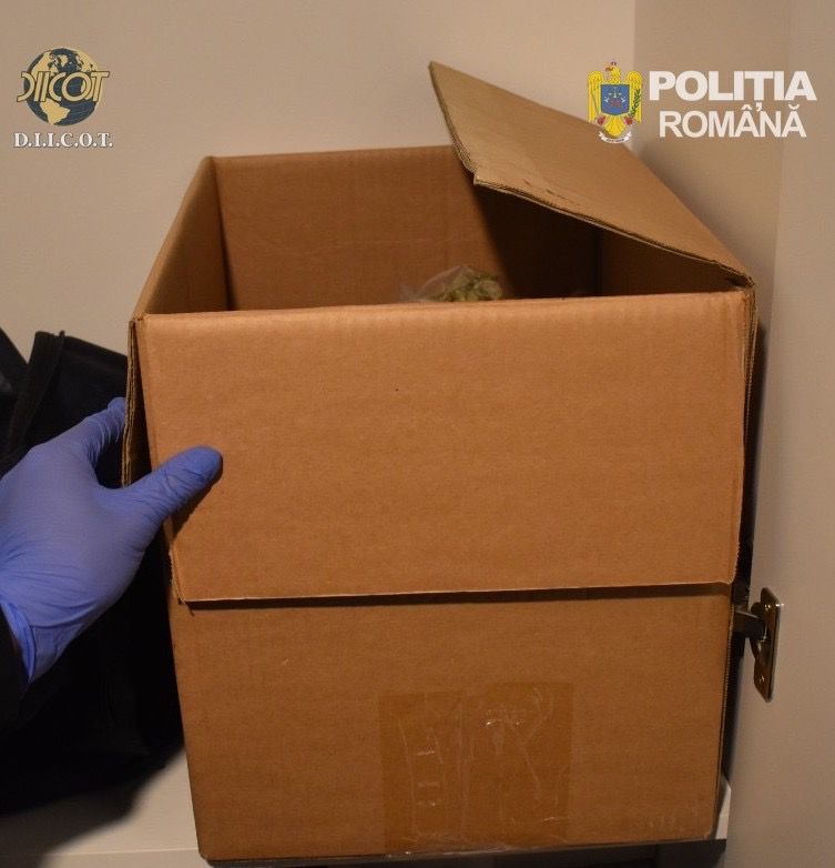 WhatsApp Image 2026-03-20 at 13.32.42 (1)