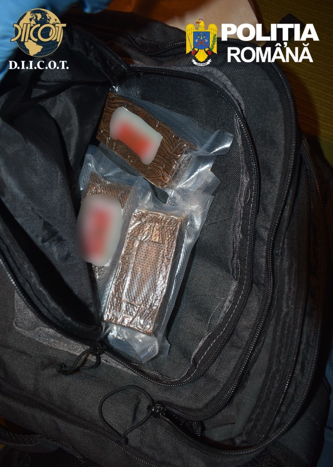 WhatsApp Image 2026-03-20 at 13.32.42