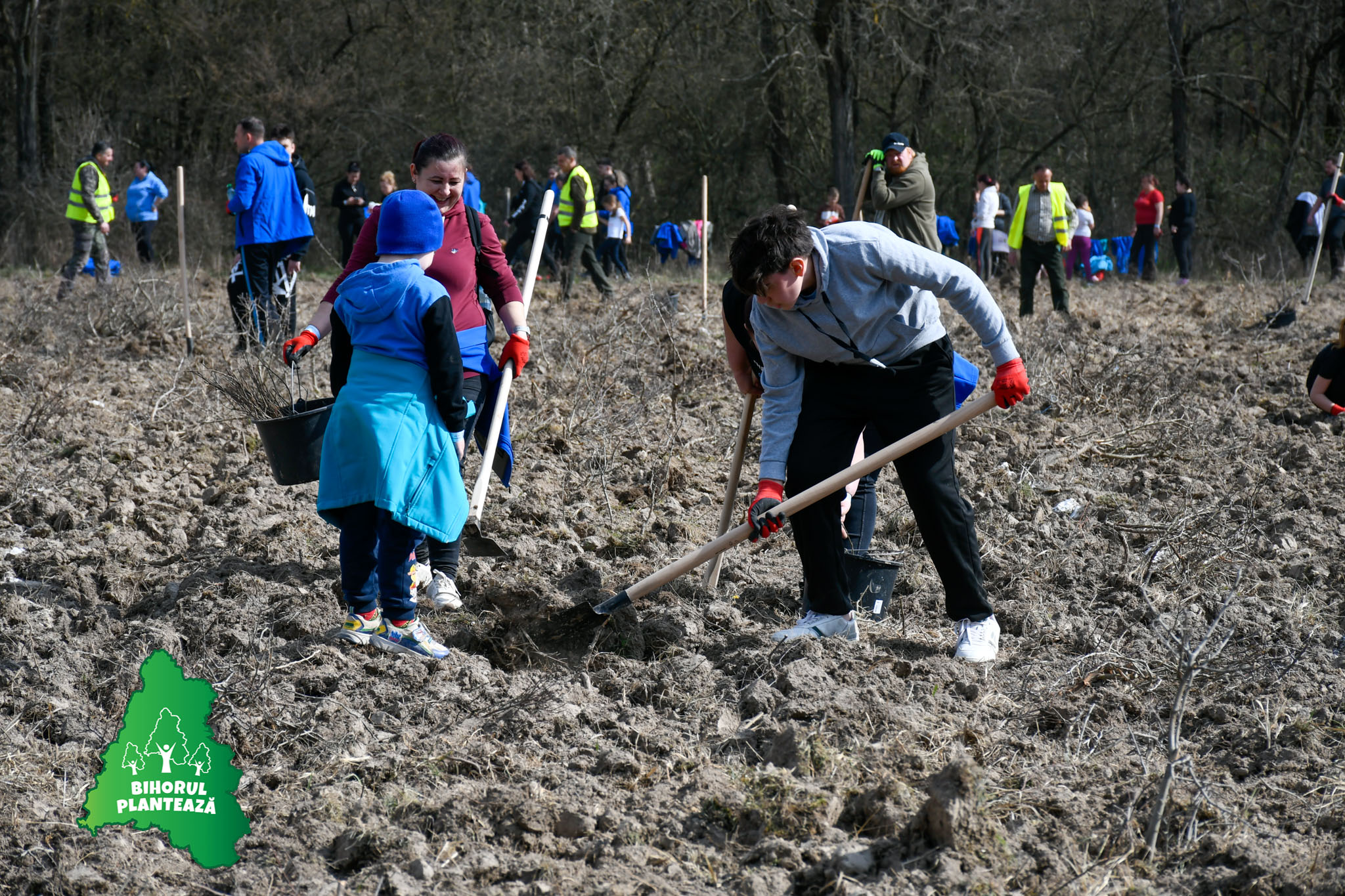 Bihorul Planteaza 2026 - editia V (5)