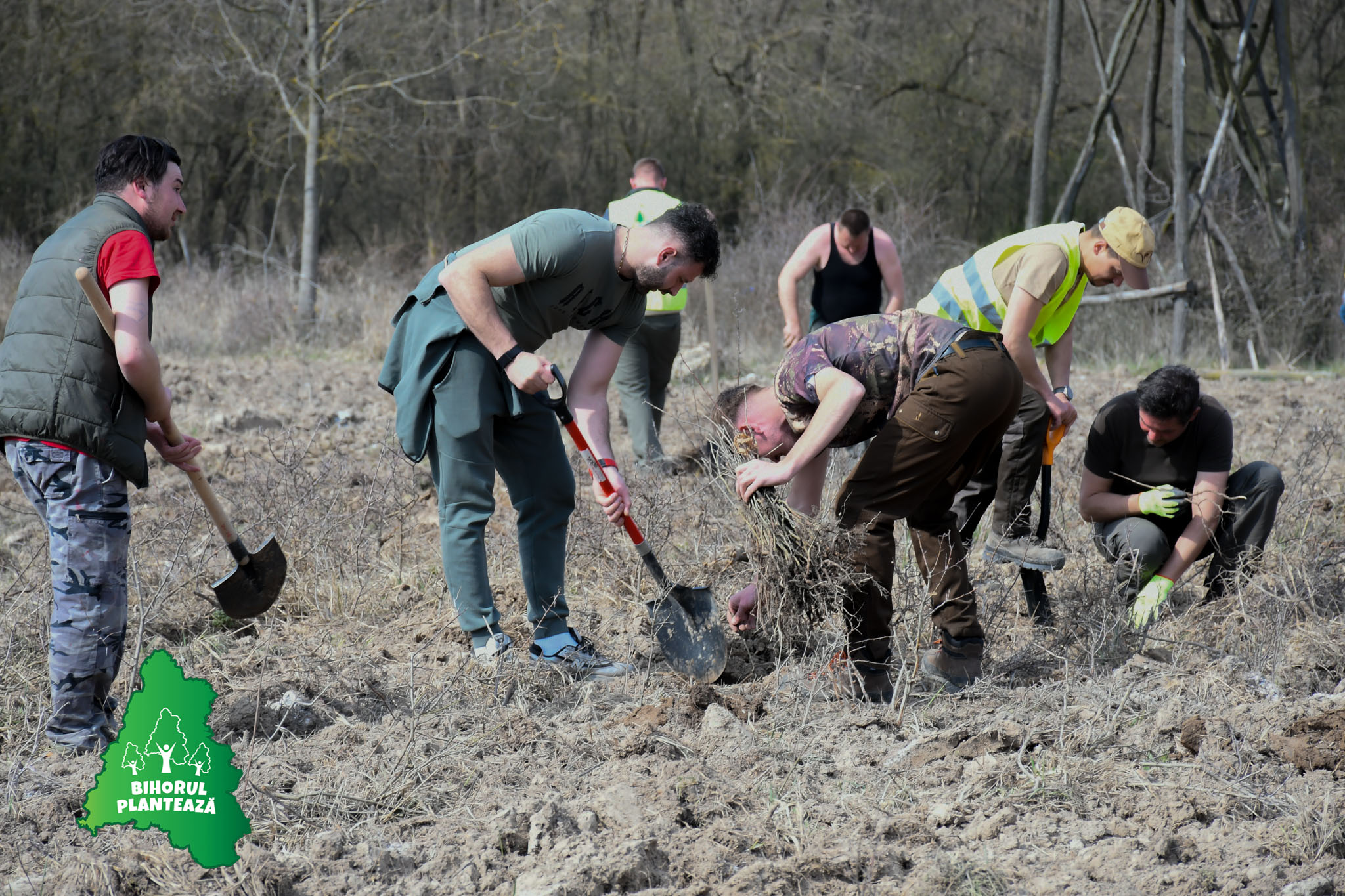 Bihorul Planteaza 2026 - editia V (12)
