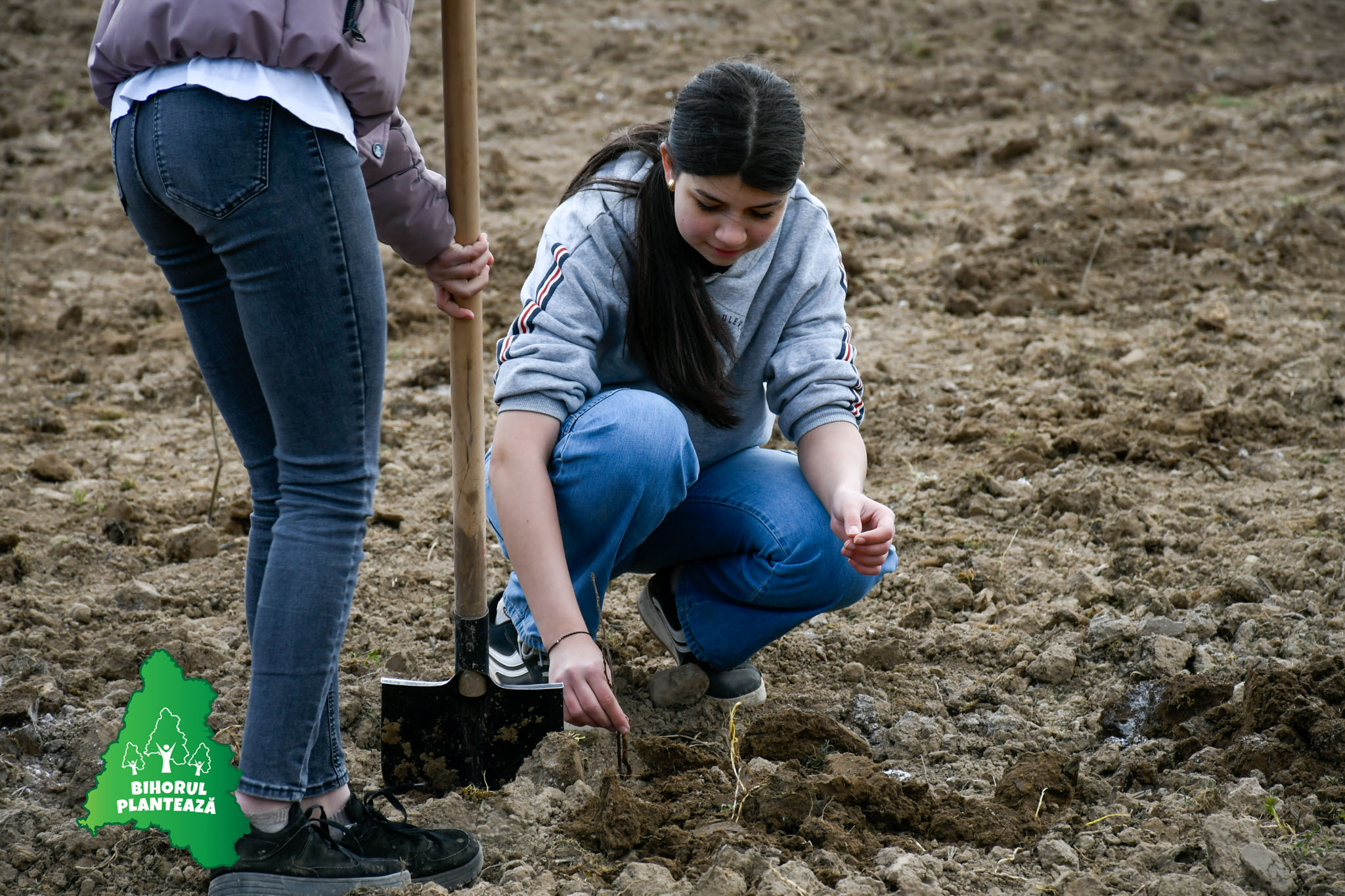 Bihorul Planteaza 2026 - editia V (20)