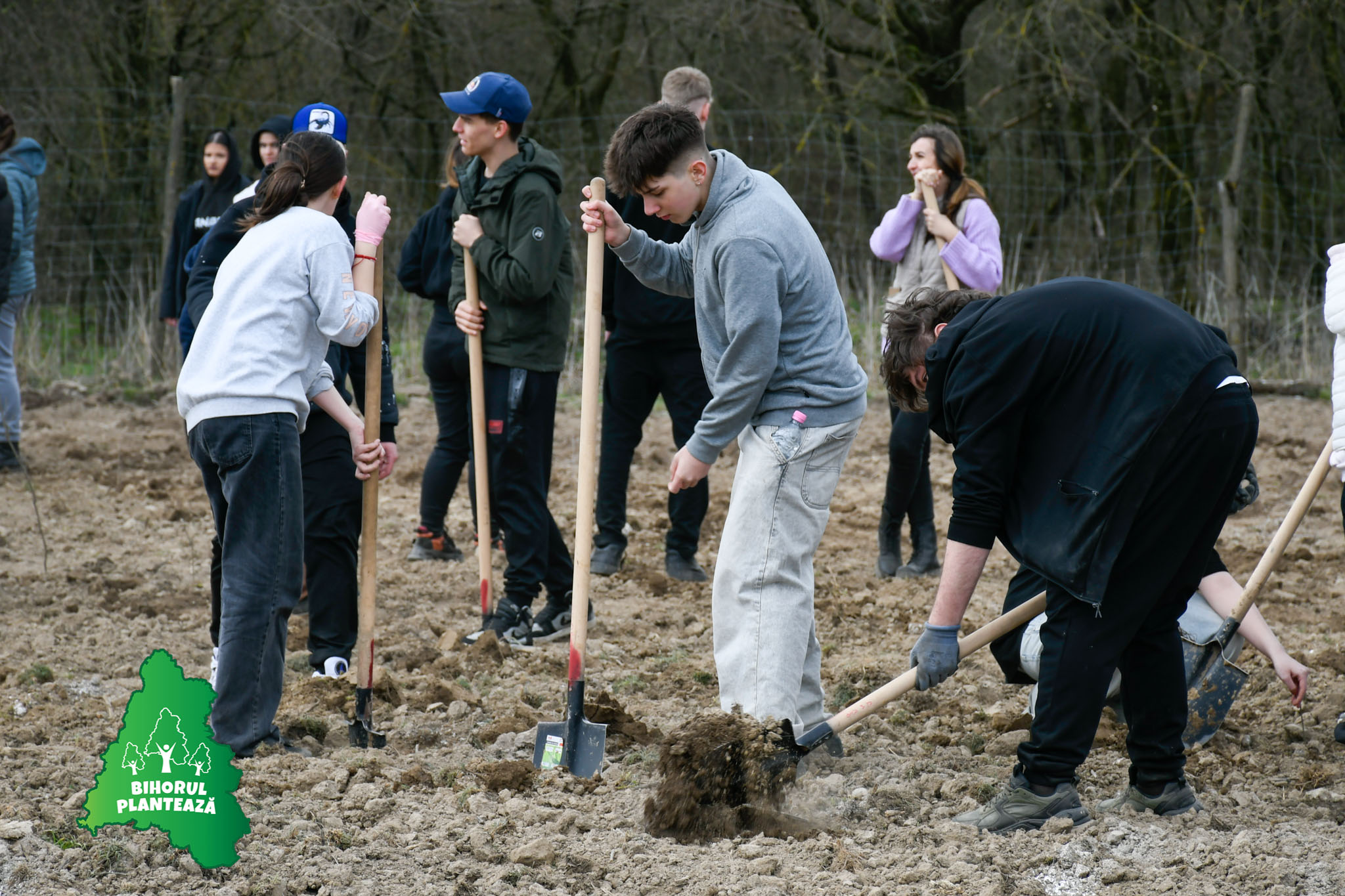 Bihorul Planteaza 2026 - editia V (21)