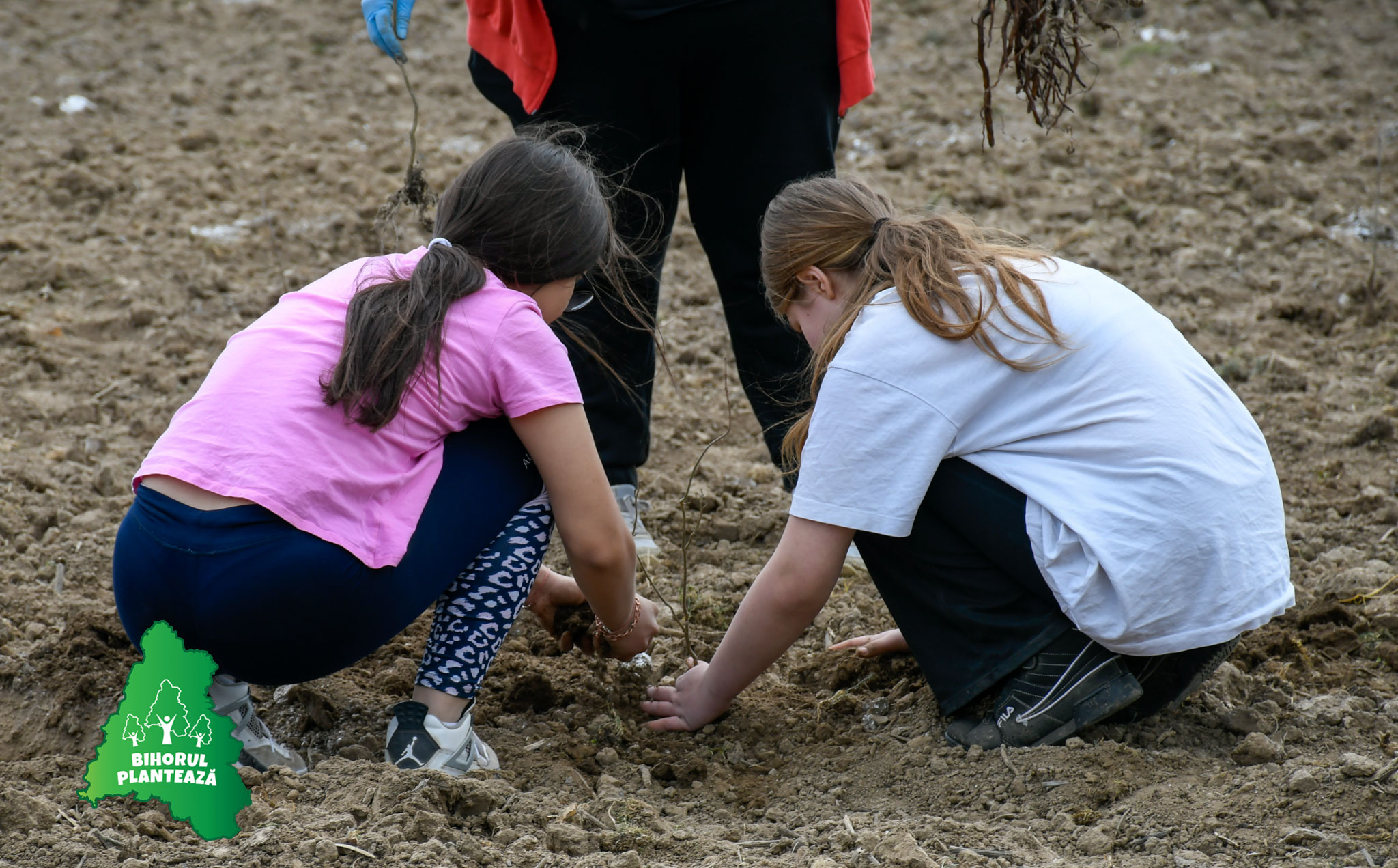 Bihorul Planteaza 2026 - editia V (24)