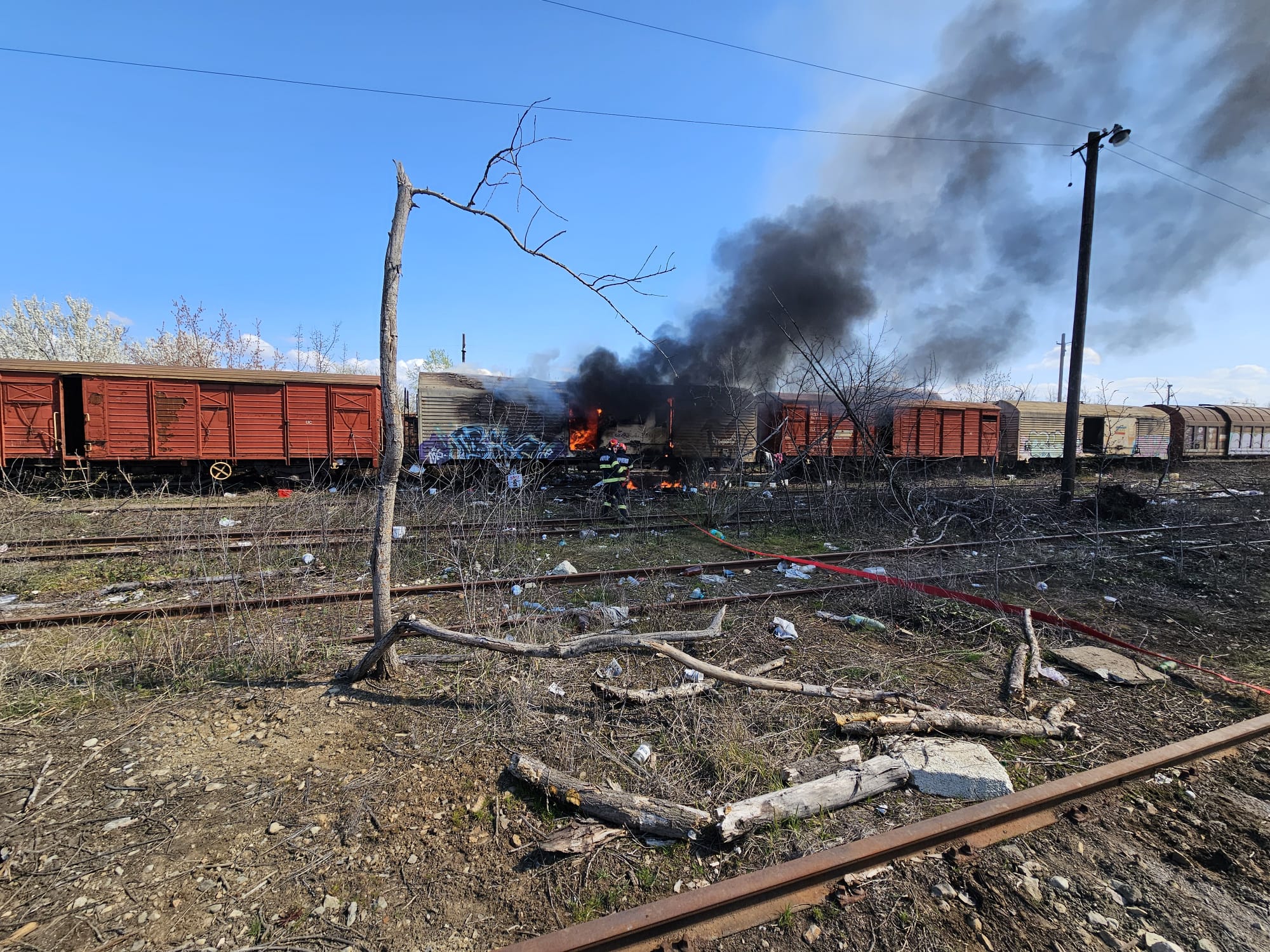 WhatsApp Image 2026-03-22 at 12.39.59