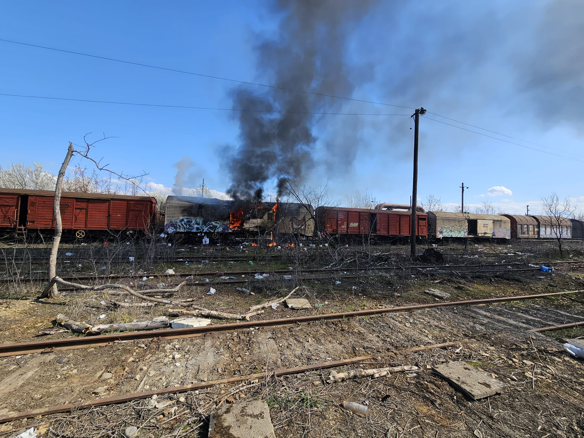 WhatsApp Image 2026-03-22 at 12.39.59 (1)