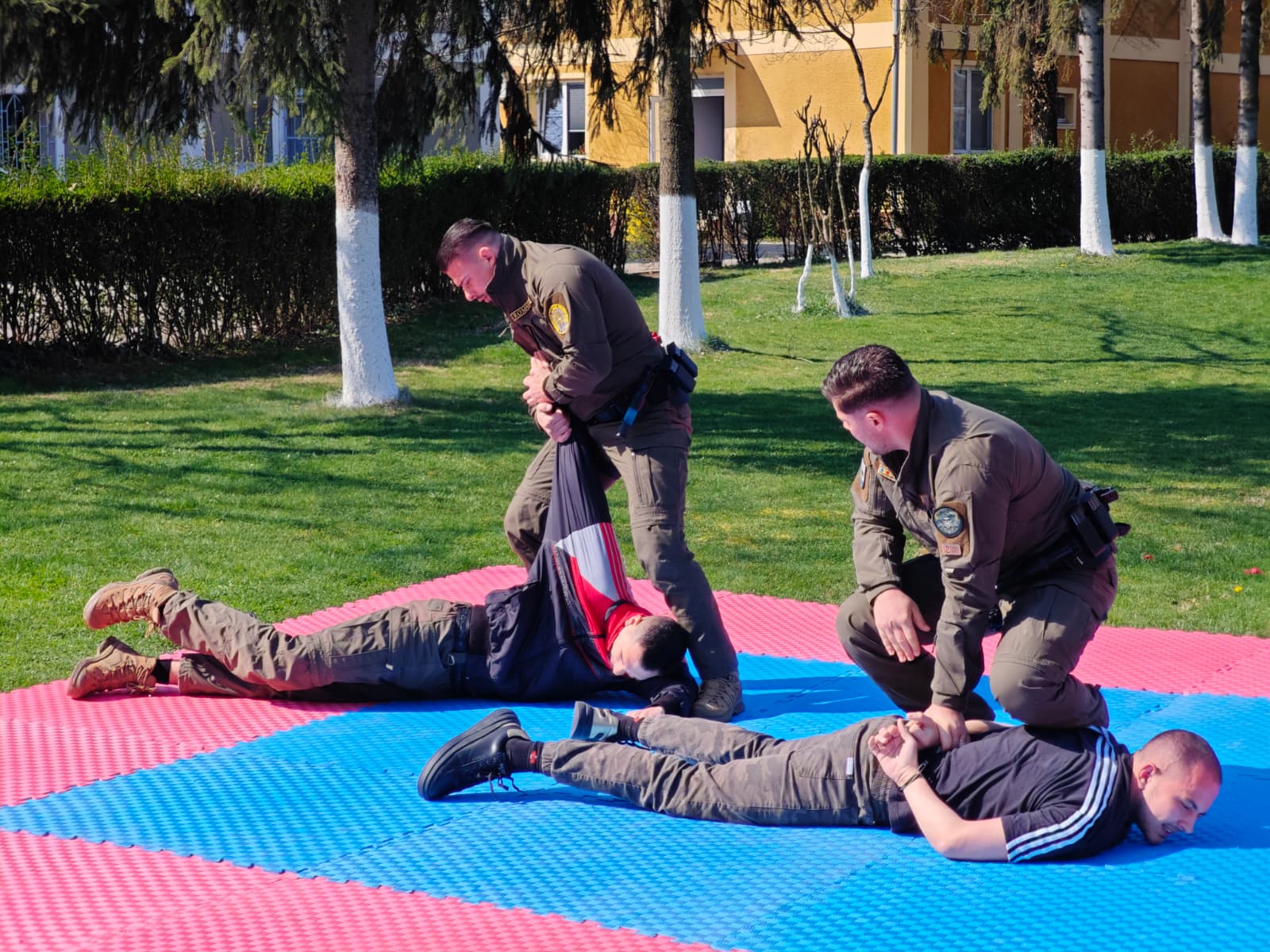 WhatsApp Image 2026-03-24 at 14.18.24 (3)