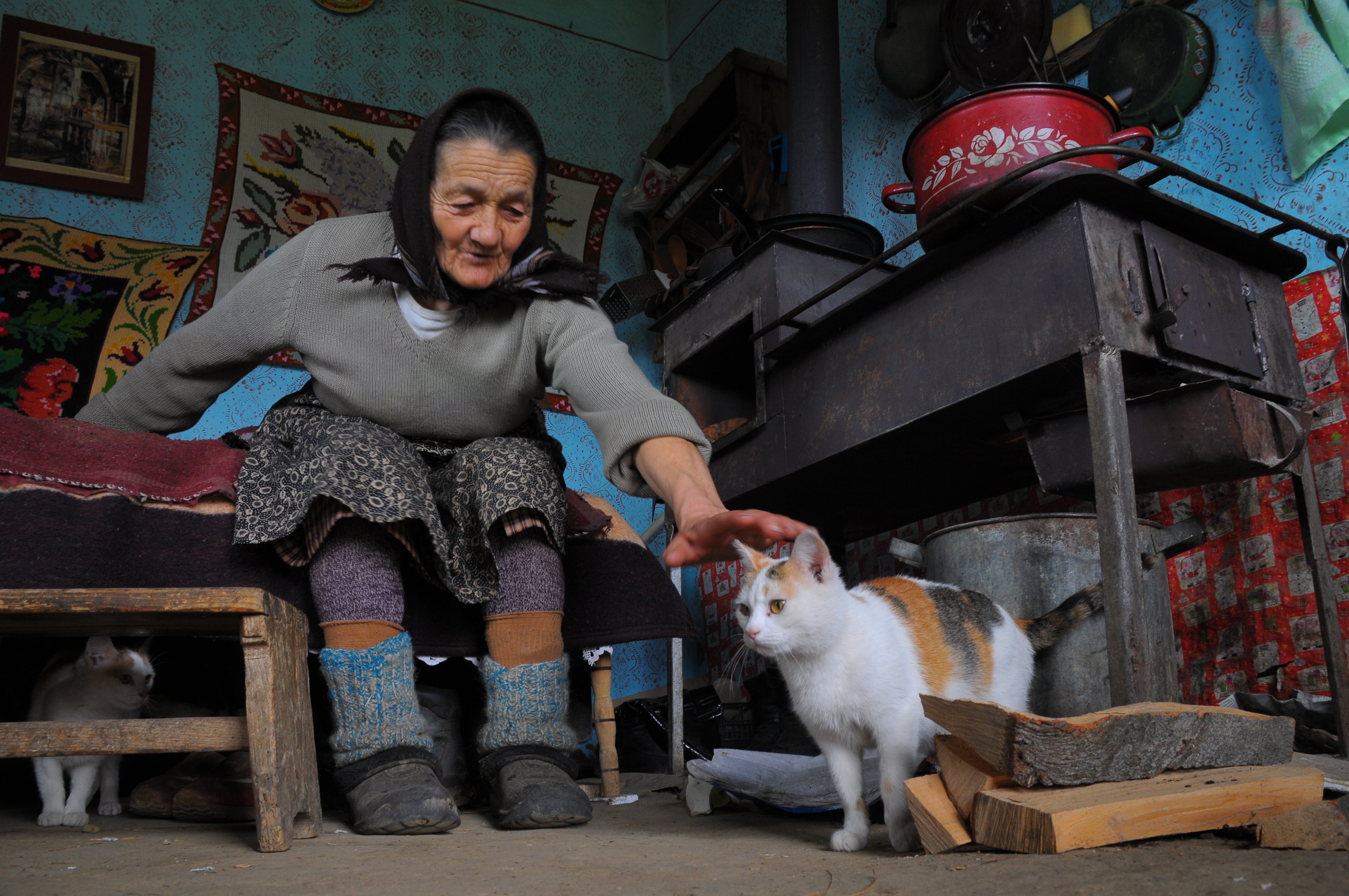 Felician Săteanu. (RO) 2