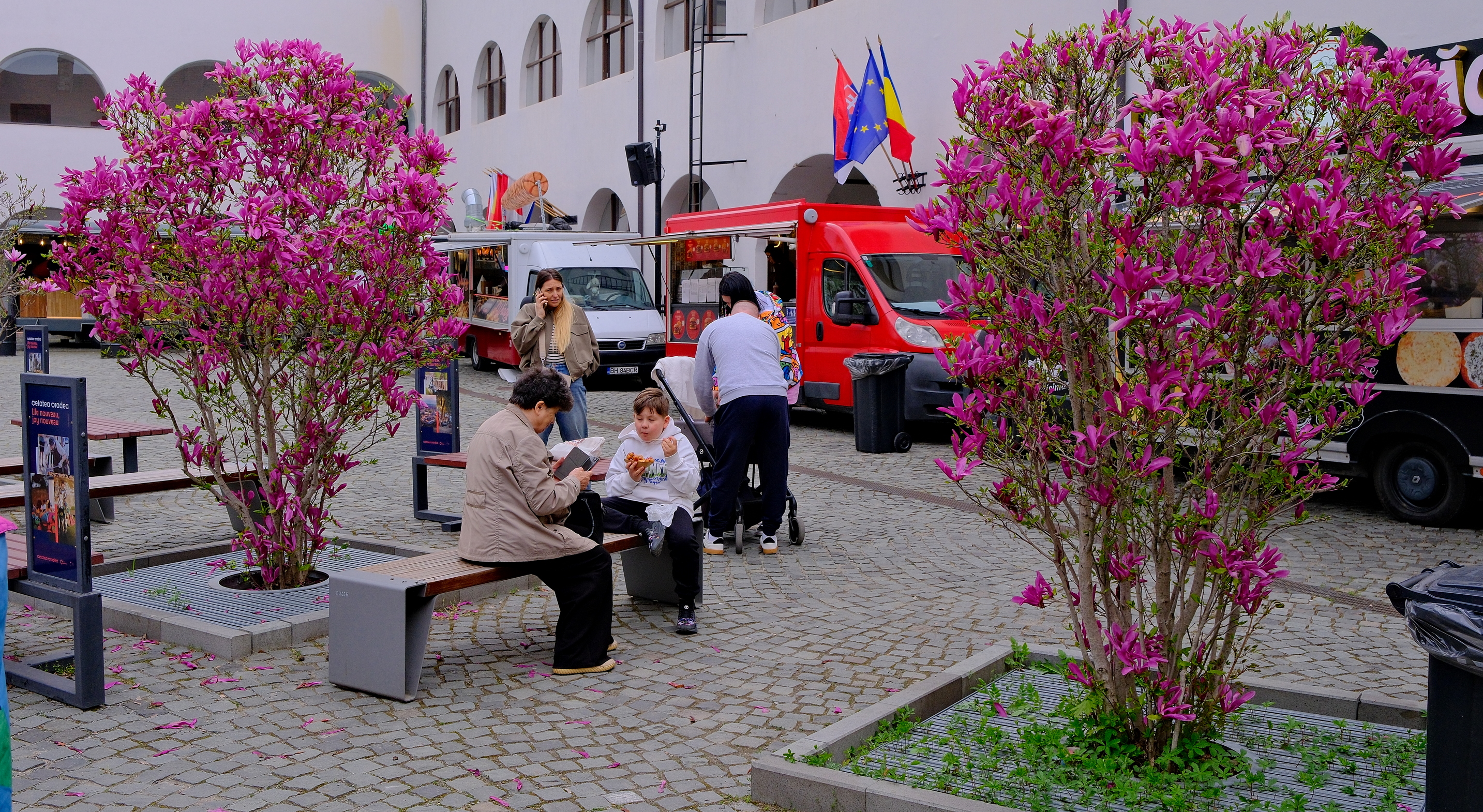 nitescu-targ-pasti-cetate-oradea-11