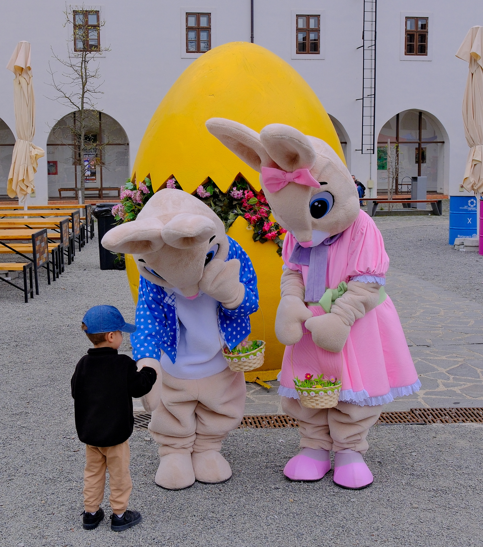 nitescu-targ-pasti-cetate-oradea-23