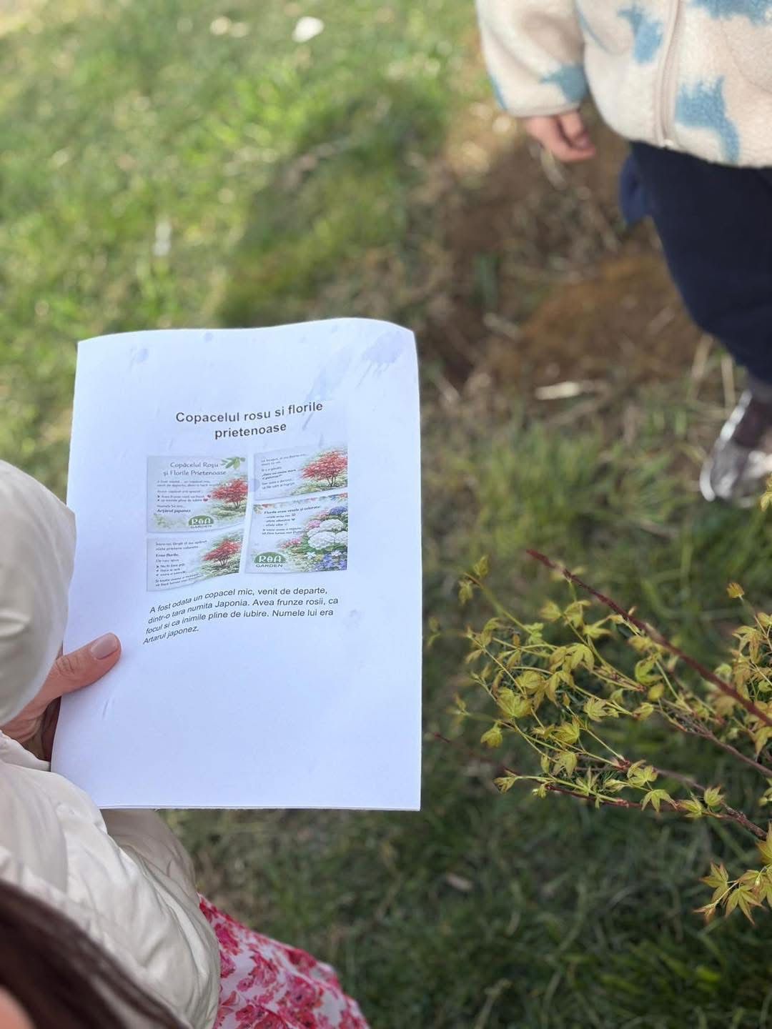 Grădinița Armonia2 (10)