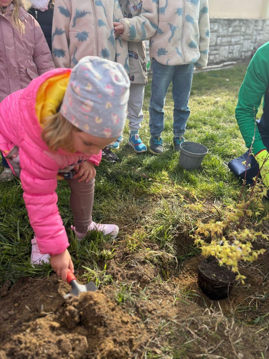 Grădinița Armonia2 (13)