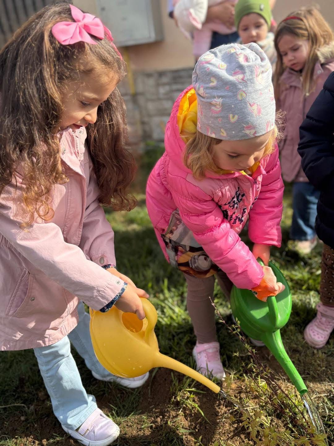 Grădinița Armonia2 (16)
