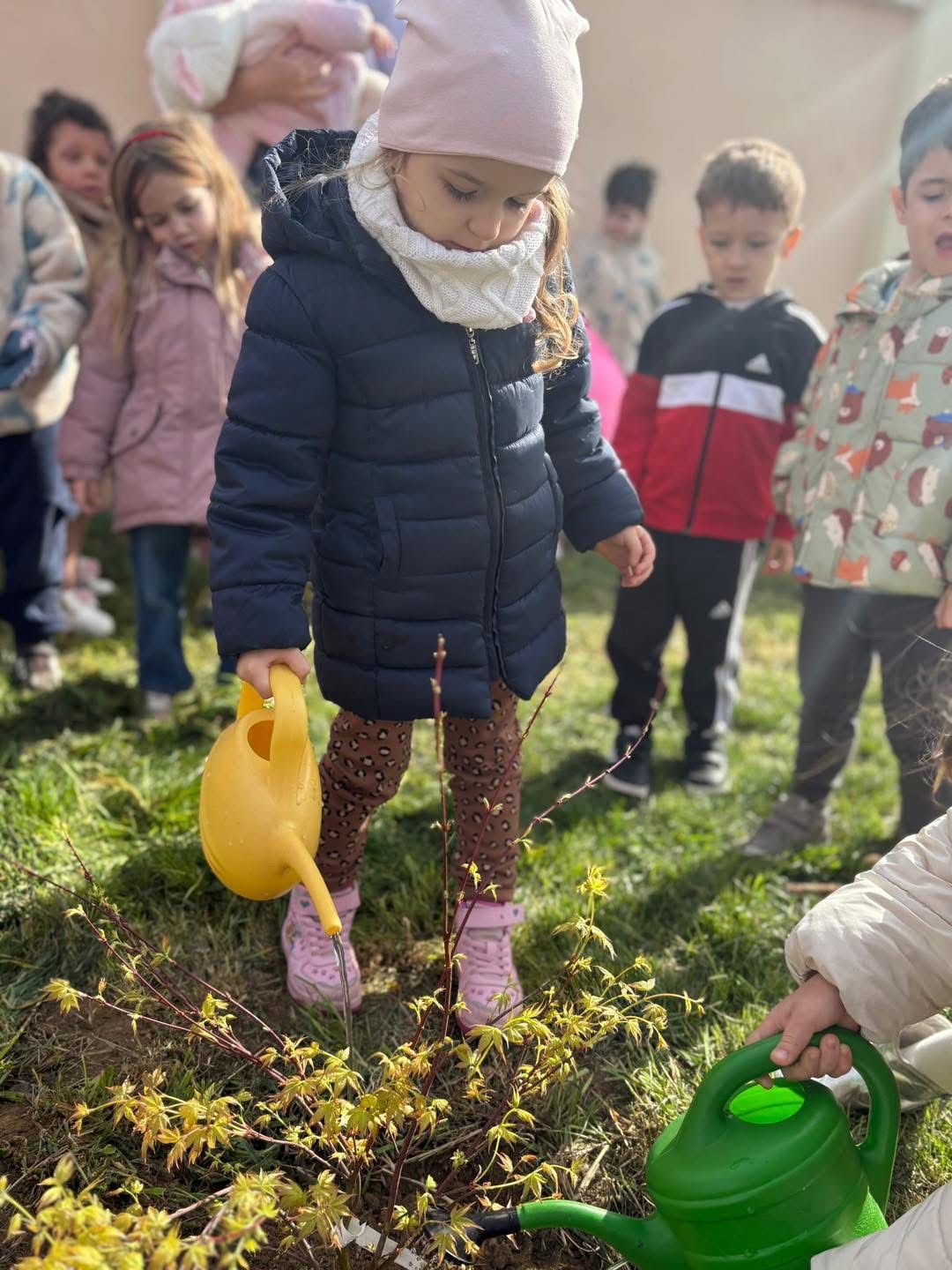 Grădinița Armonia2 (17)