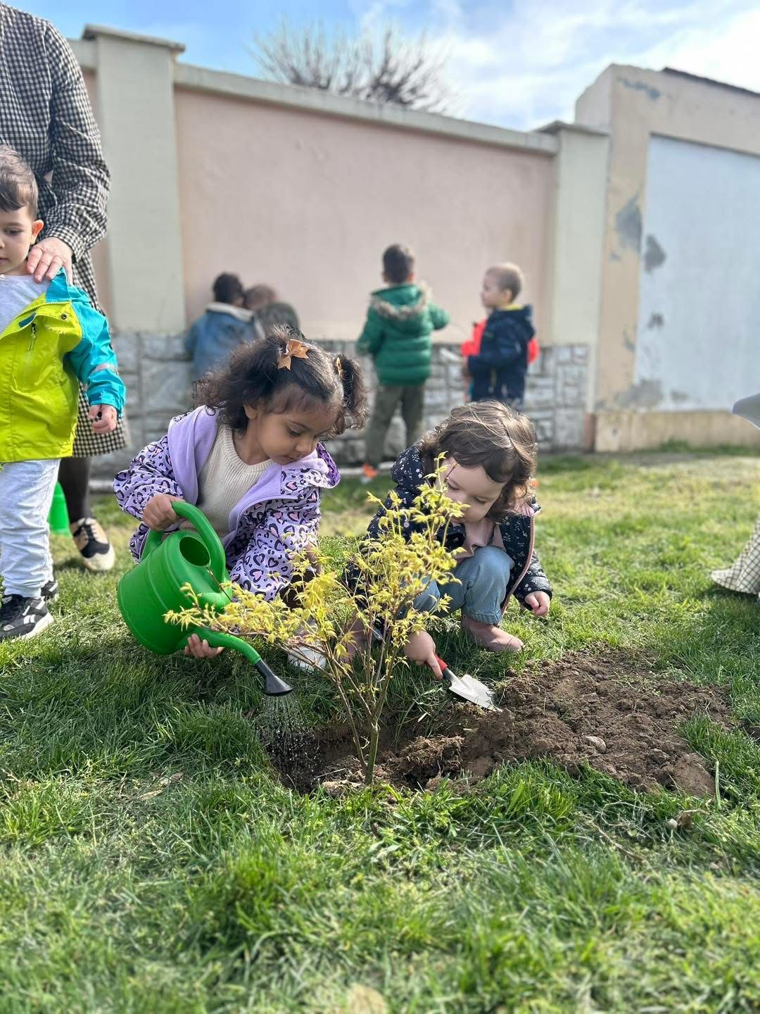 Grădinița Armonia2 (21)