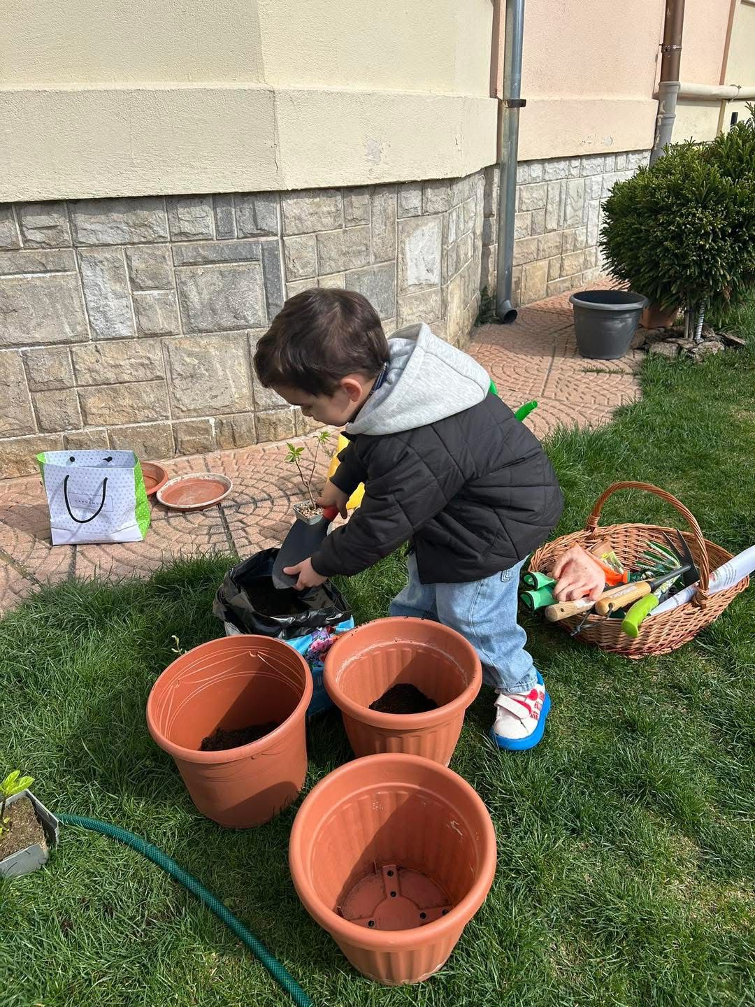 Grădinița Armonia2 (22)