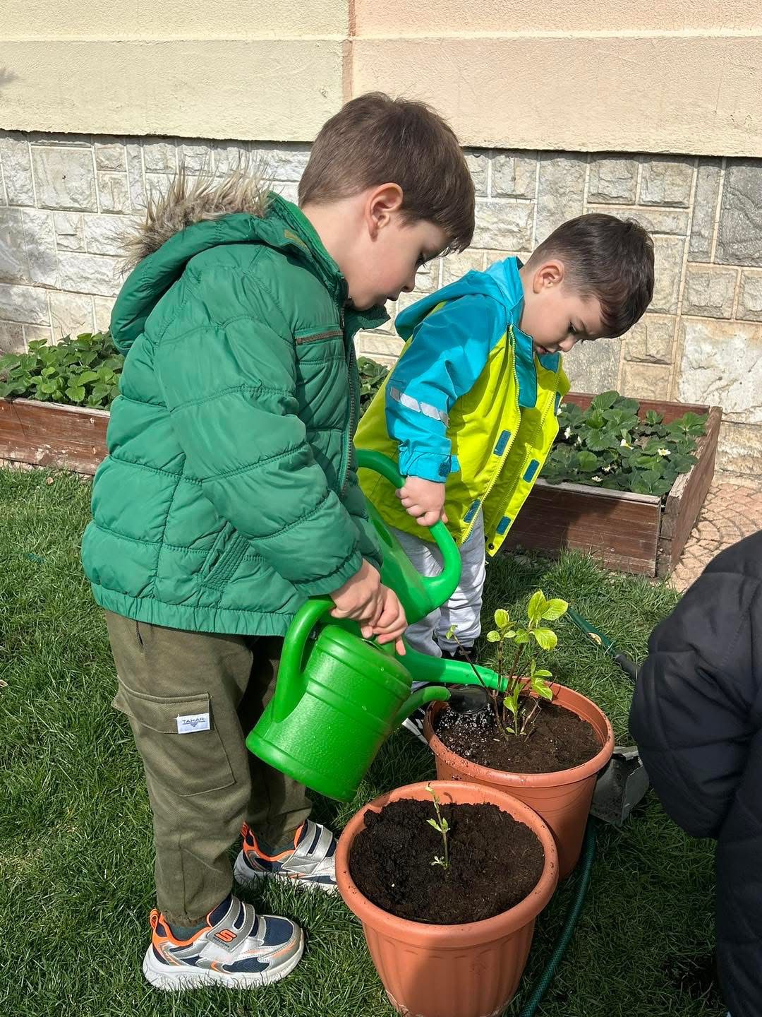 Grădinița Armonia2 (25)