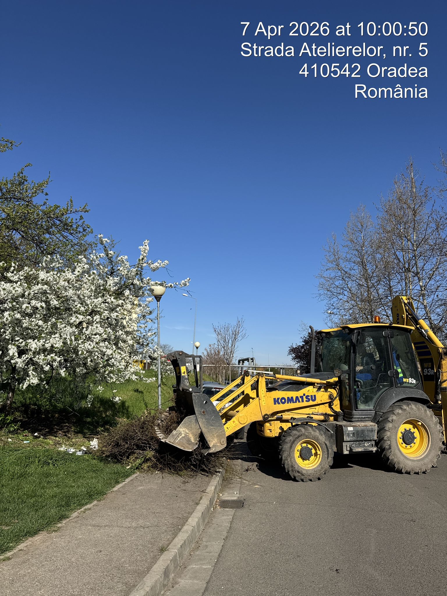 curatenieoradea (10)