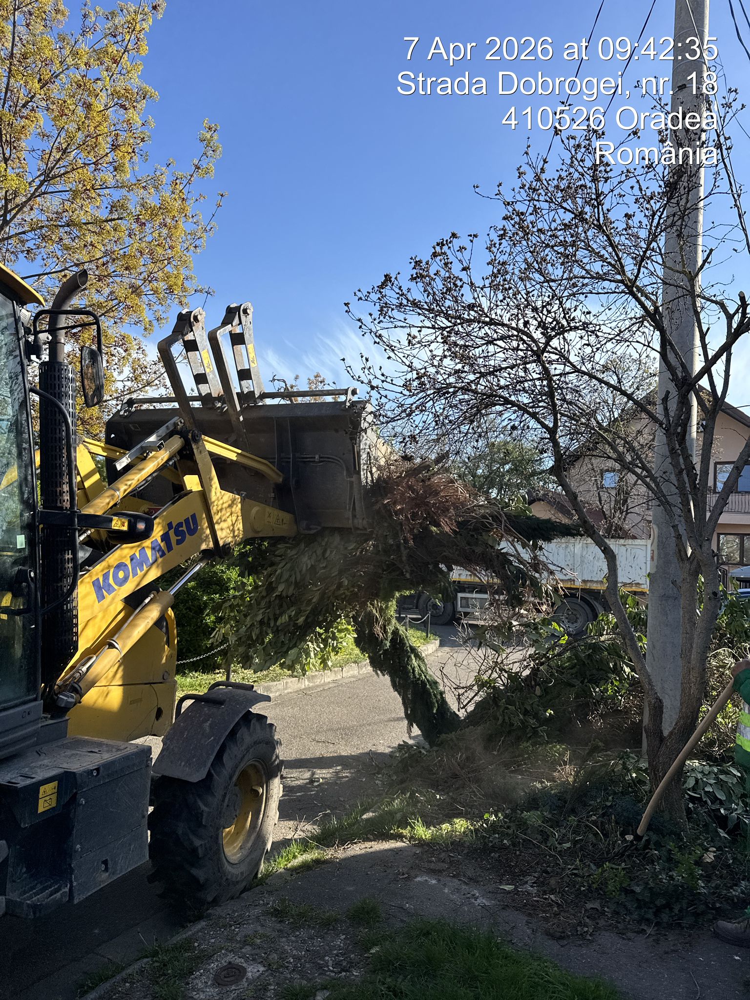 curatenieoradea (11)