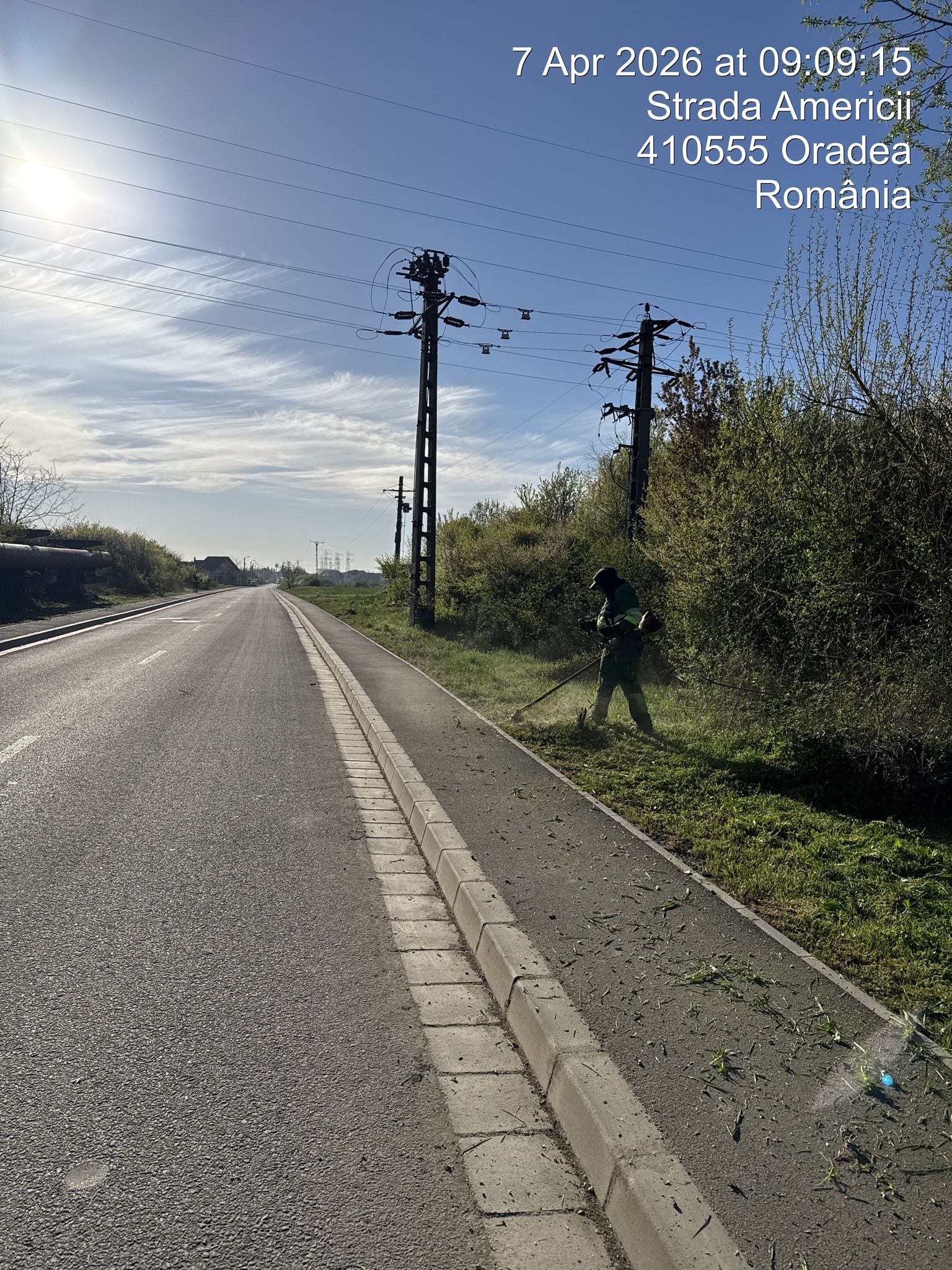 curatenieoradea (12)