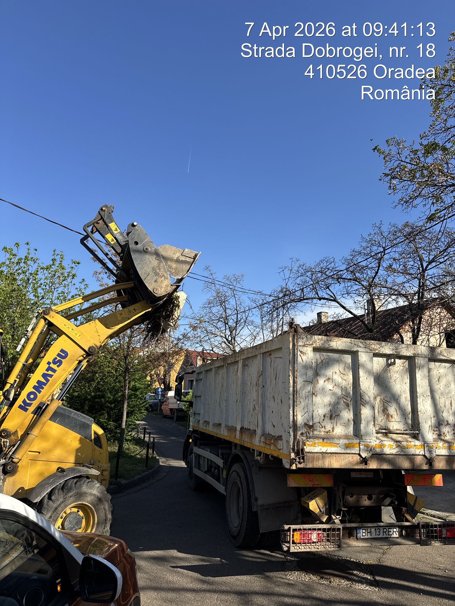 curatenieoradea (13)