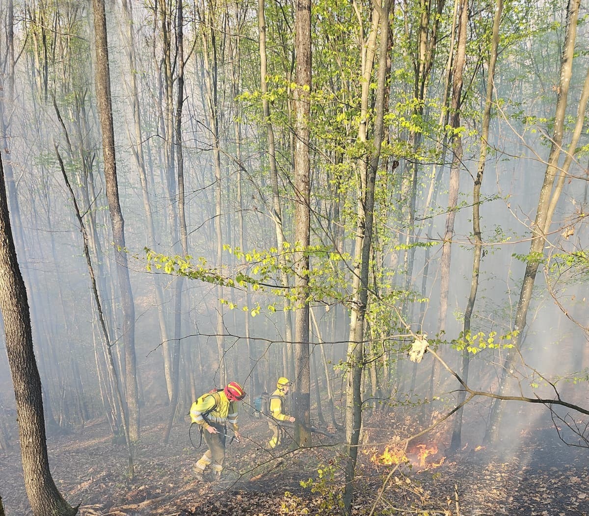 incendiu paste 1 (3)