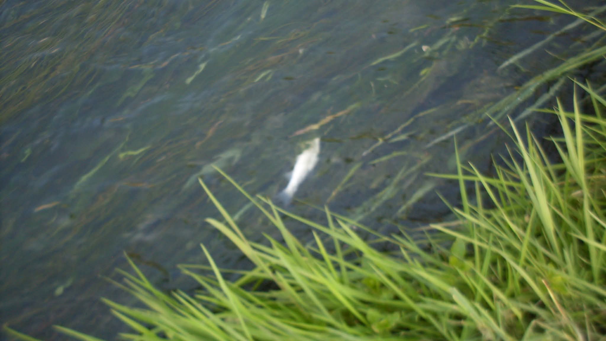 WhatsApp Image 2026-04-14 at 13.12.23 (1)