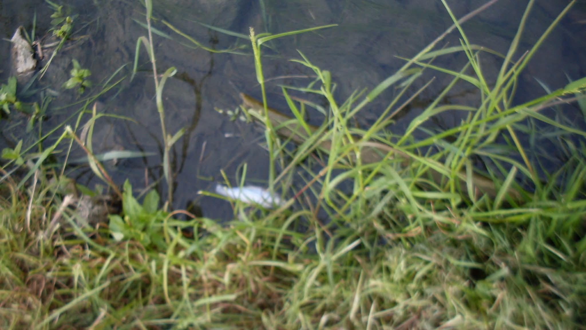 WhatsApp Image 2026-04-14 at 13.12.23 (2)