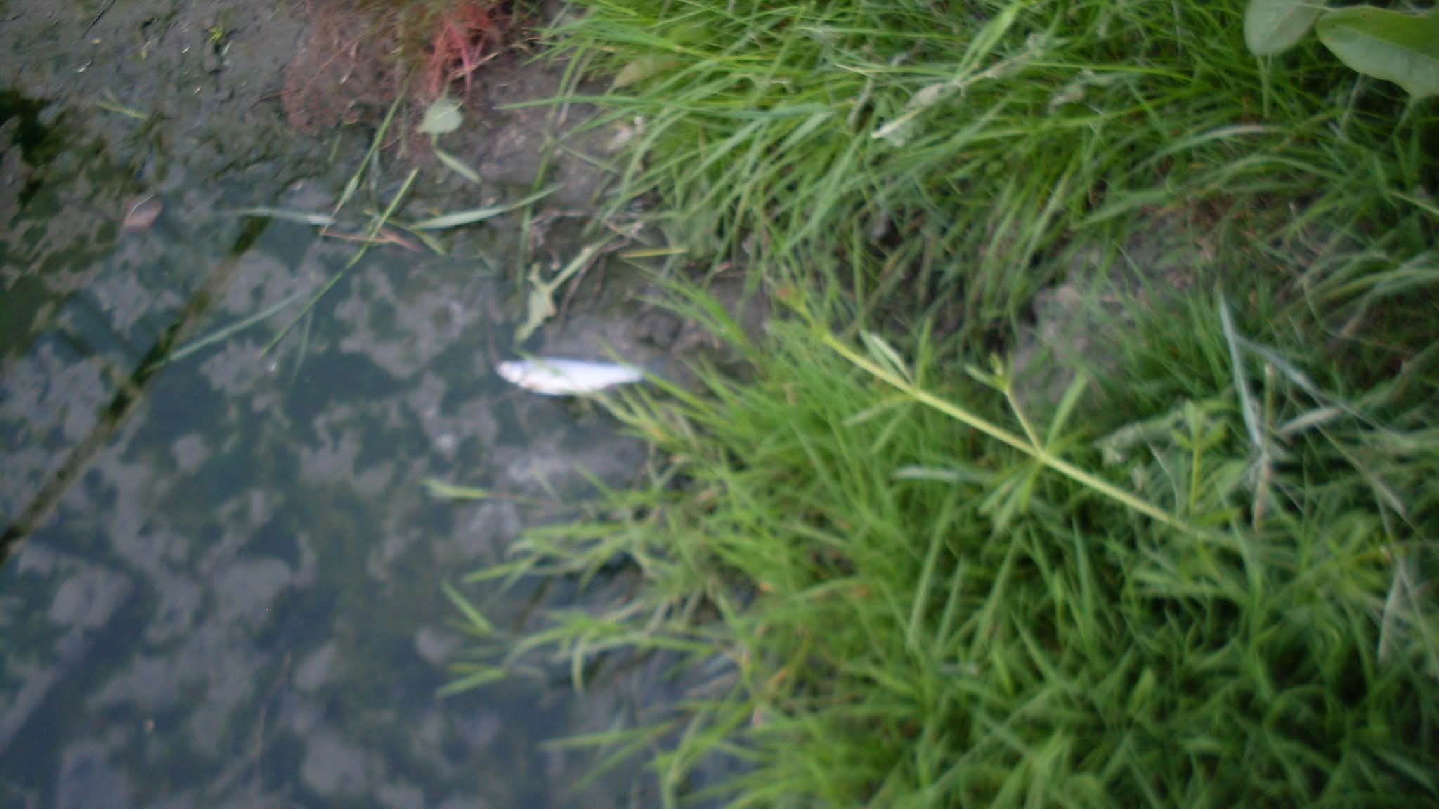 WhatsApp Image 2026-04-14 at 13.12.24 (1)