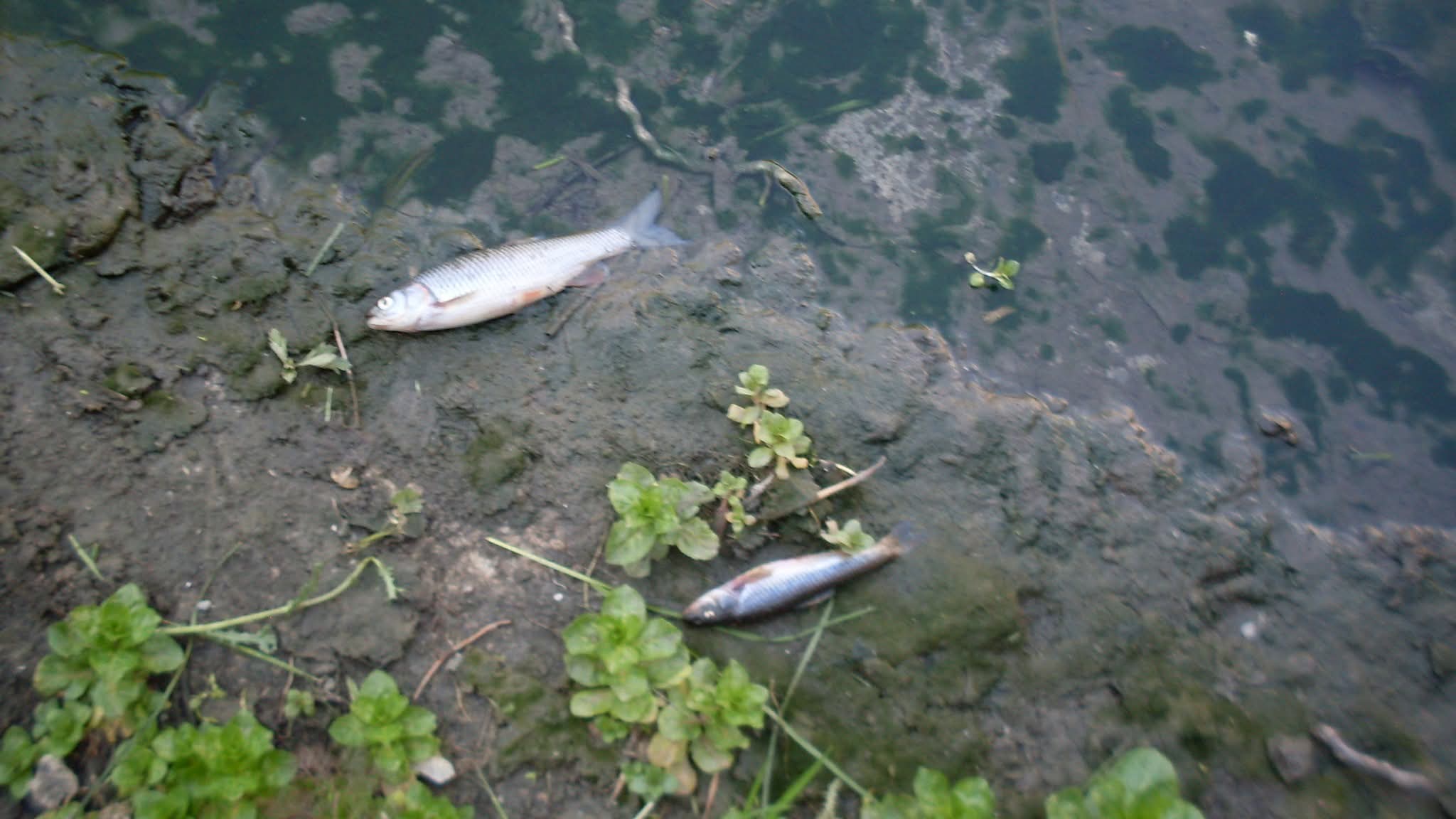 WhatsApp Image 2026-04-14 at 13.12.24 (2)