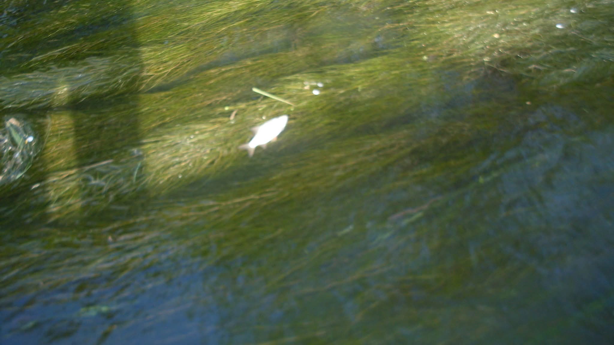 WhatsApp Image 2026-04-14 at 13.12.24