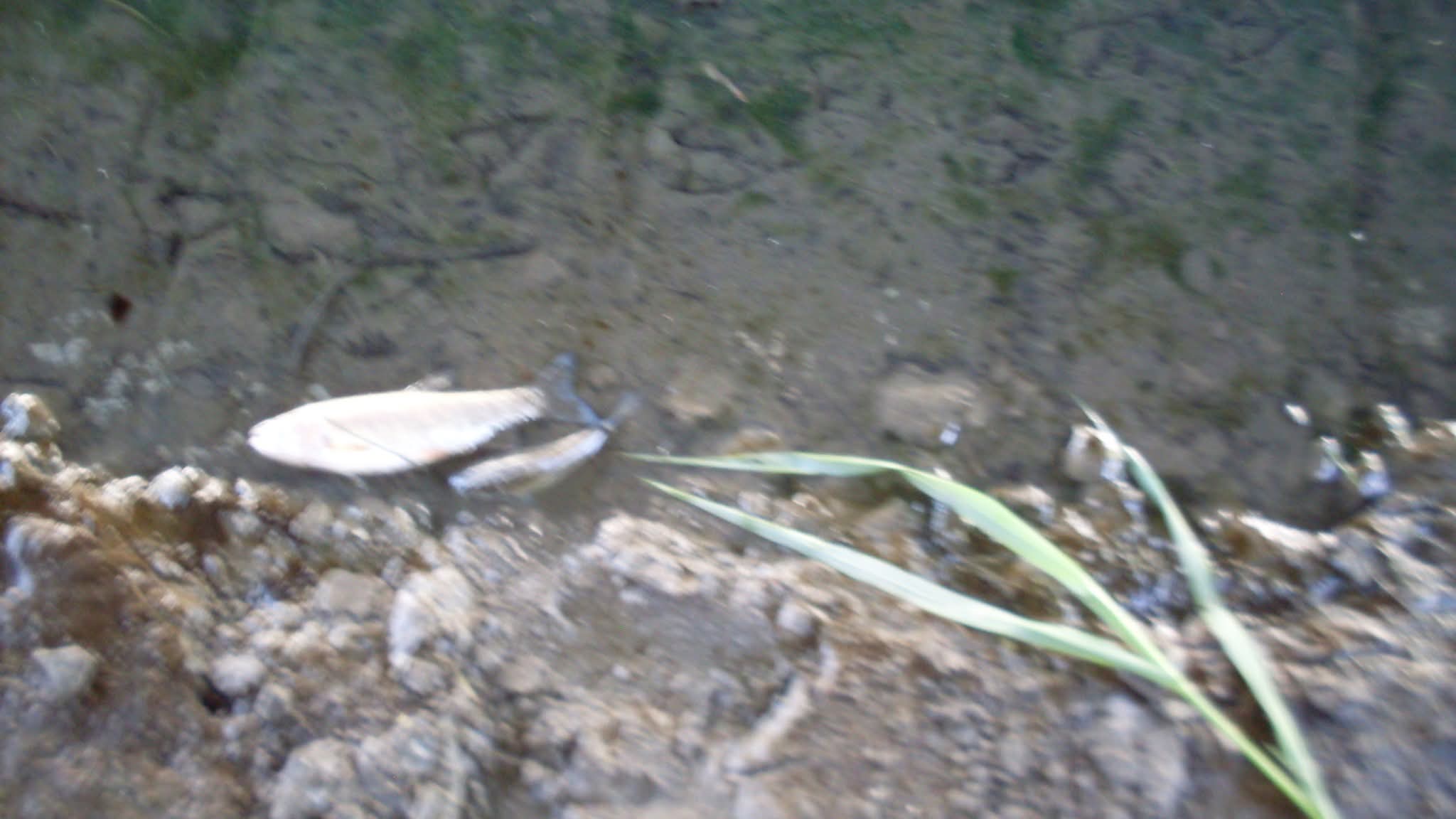 WhatsApp Image 2026-04-14 at 13.12.24 (4)