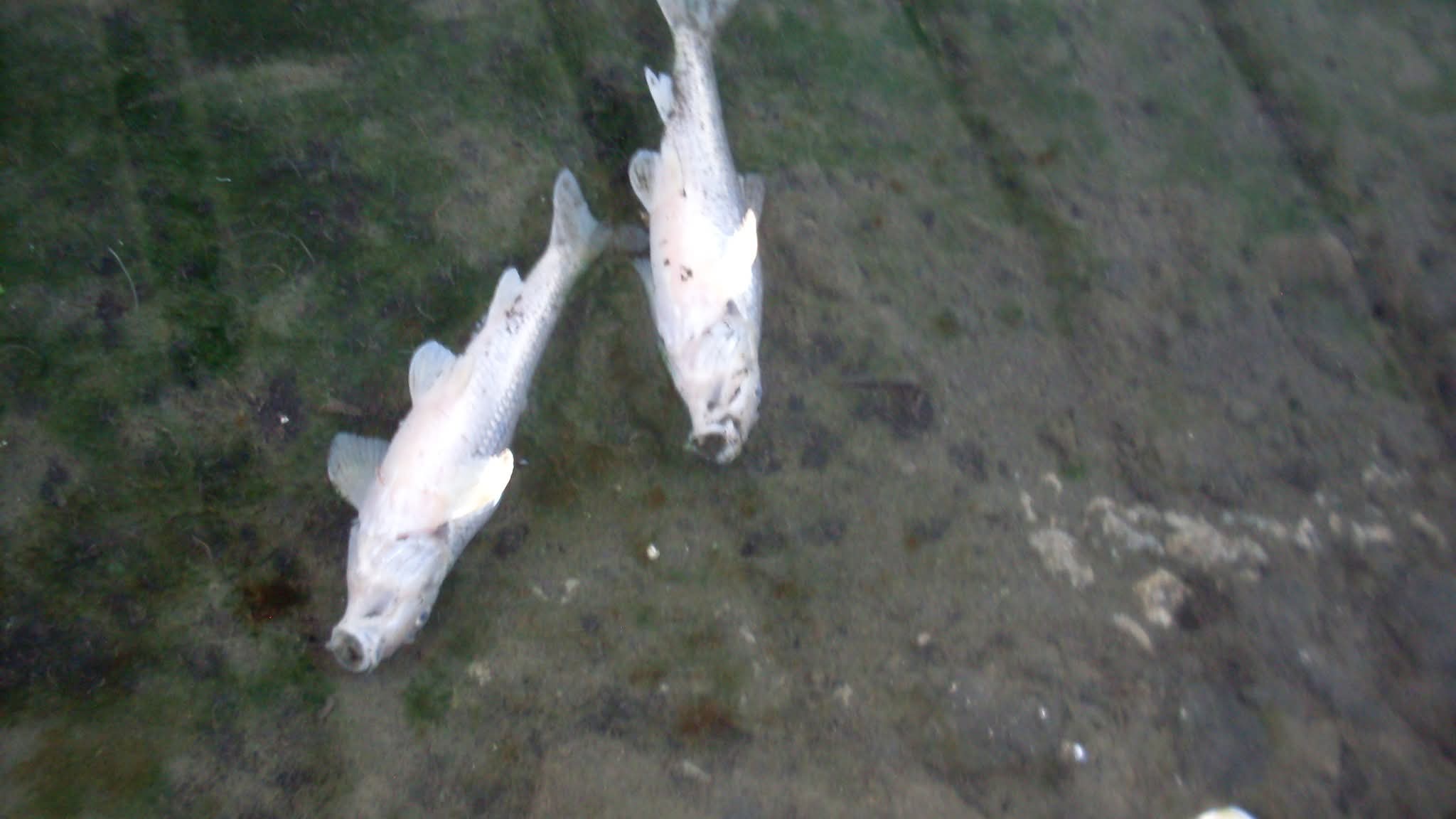 WhatsApp Image 2026-04-14 at 13.12.24 (5)