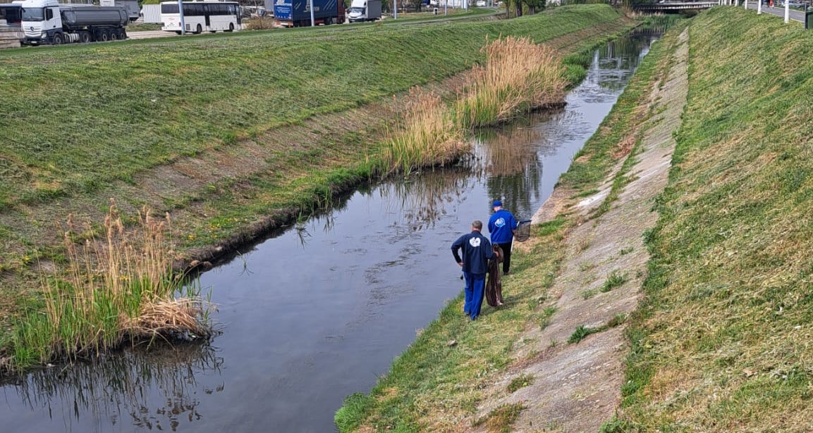 WhatsApp Image 2026-04-14 at 11.26.25