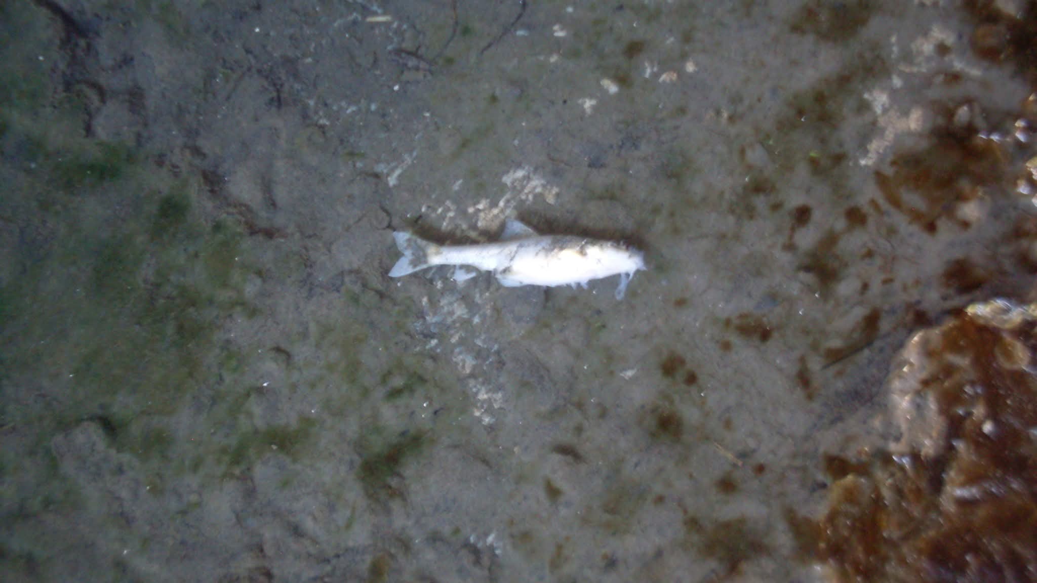 WhatsApp Image 2026-04-14 at 13.12.23