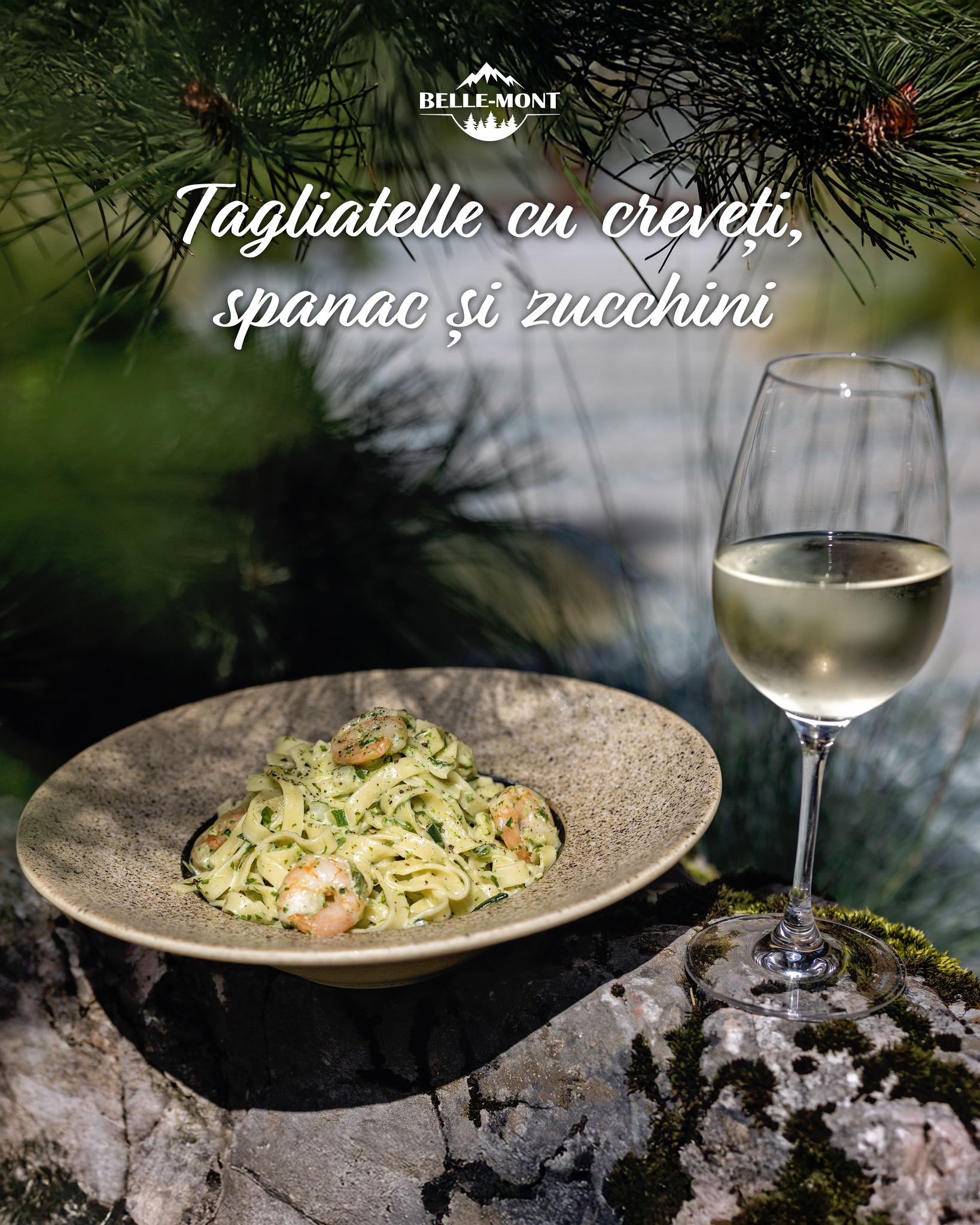 mancarebellemont (12)