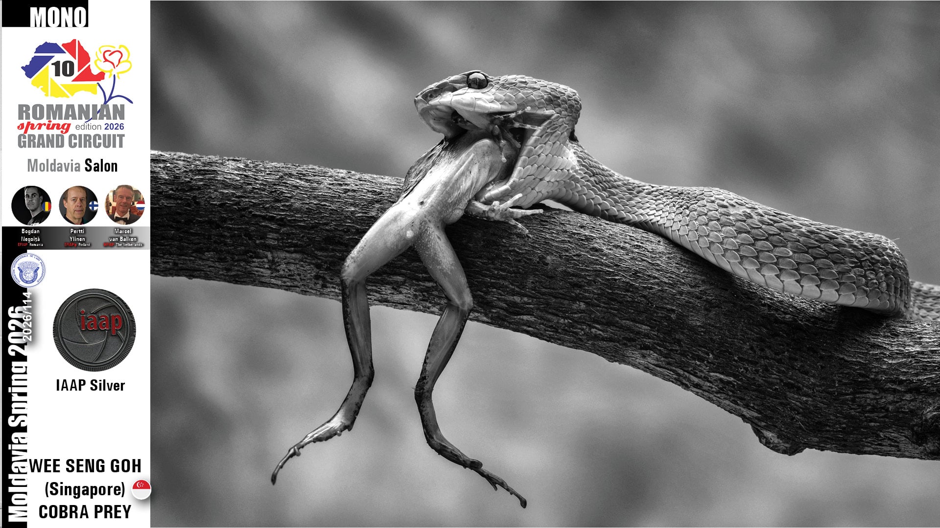 Romanian Grand Circuit Spring edition 2026 (12)