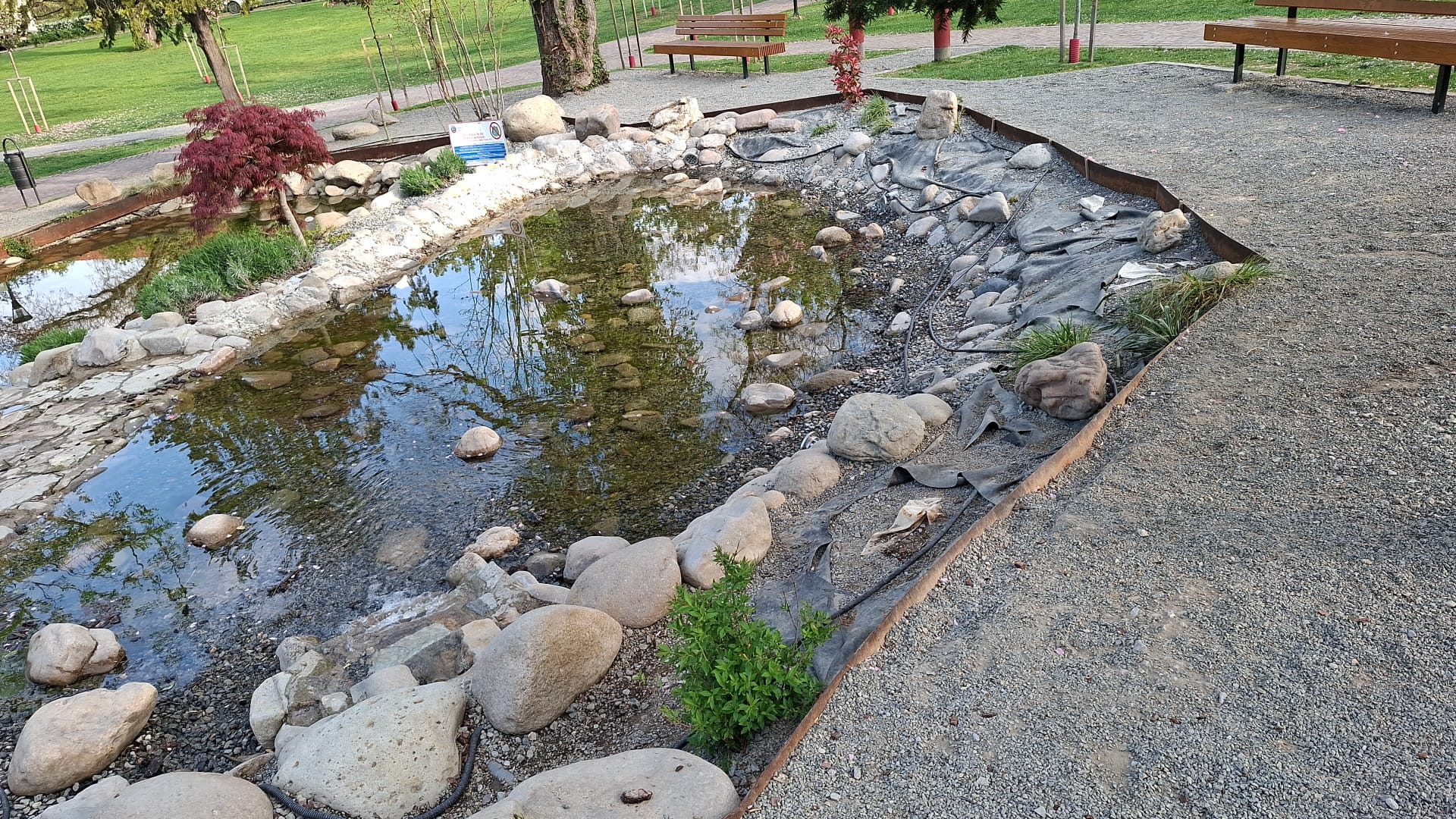 WhatsApp Image 2026-04-21 at 13.11.28