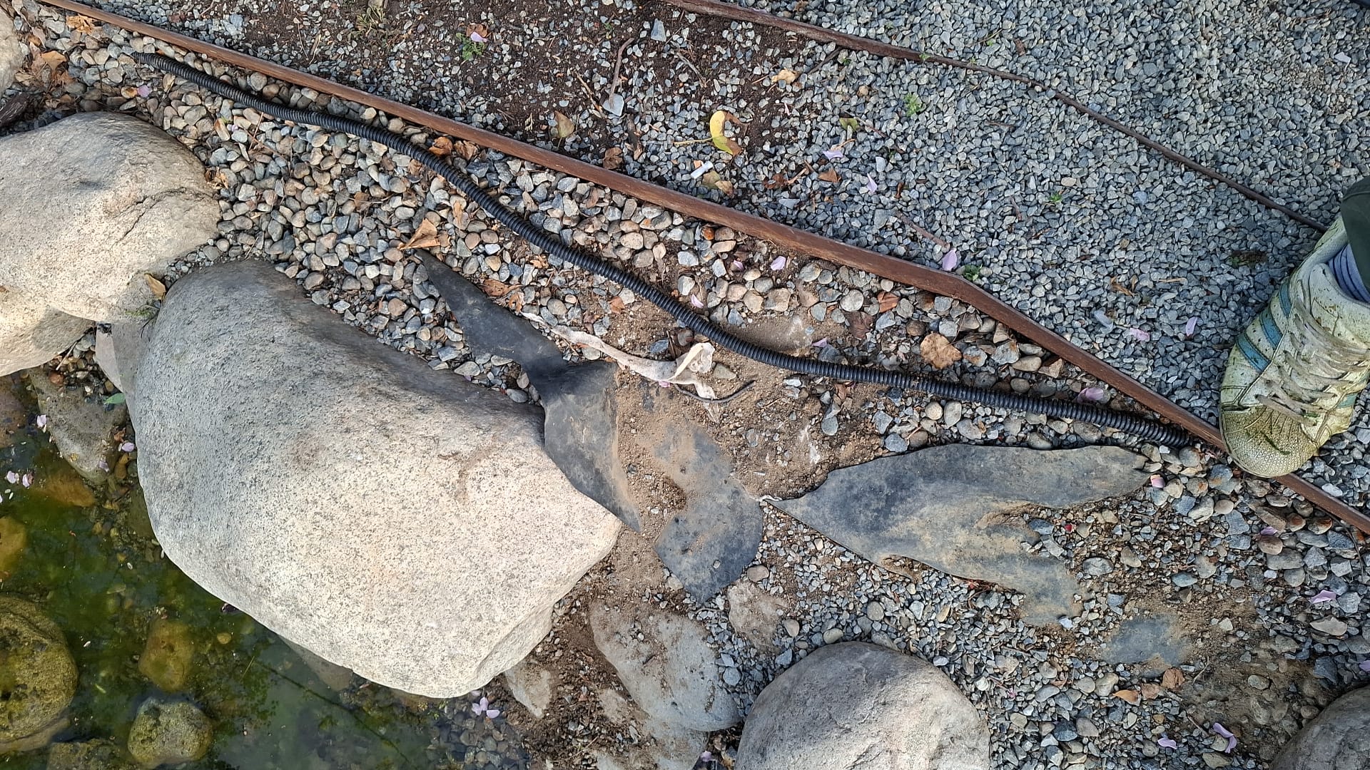 WhatsApp Image 2026-04-21 at 13.11.30 (1)