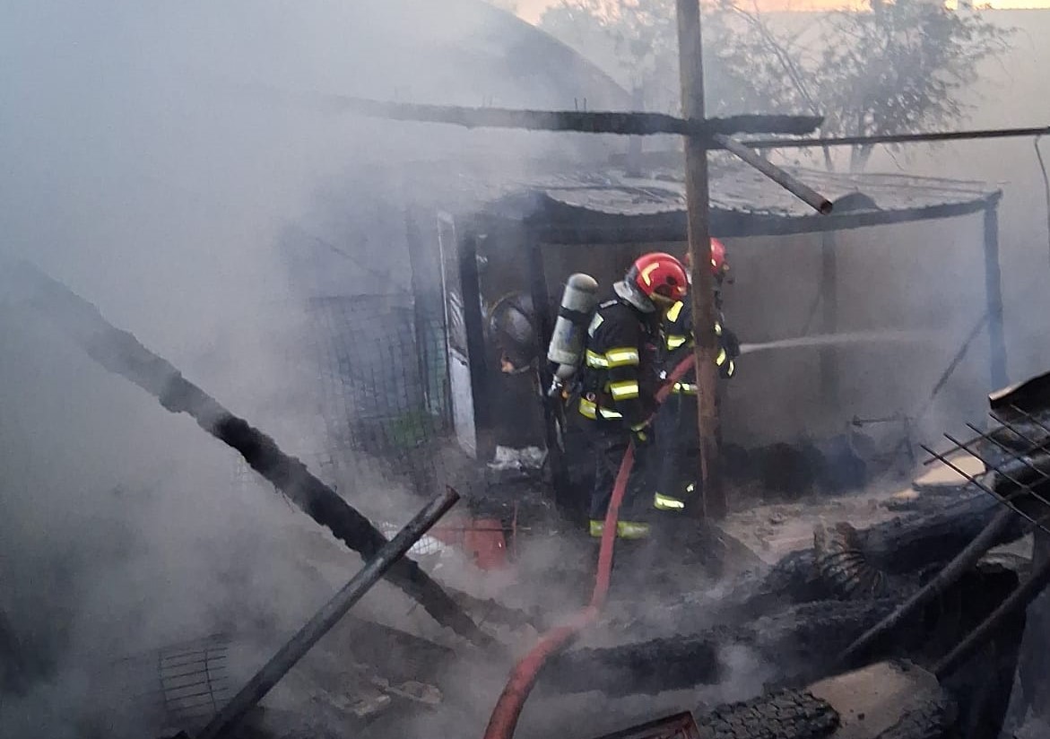incendiu-palota-gospodarie-animale-06