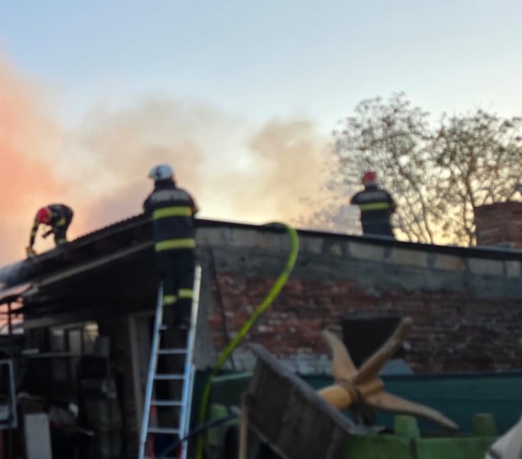 incendiu-palota-gospodarie-animale-07