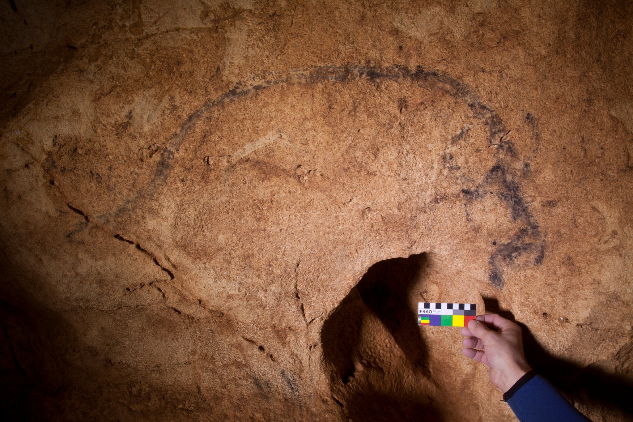 COLIBOAIA foto posmoşanu 1