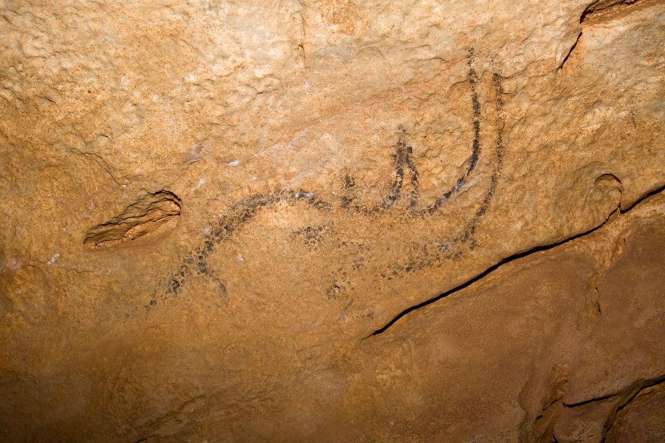 COLIBOAIA foto Posmoşanu