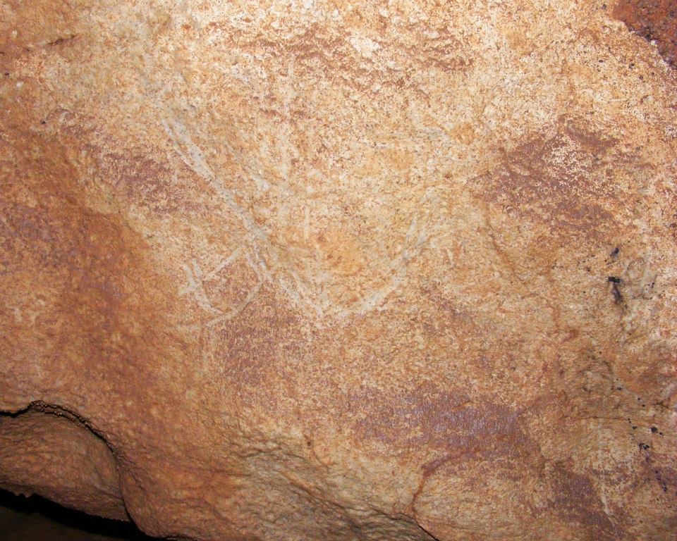 COLIBOAIA Foto Valentin Alexandru RADU