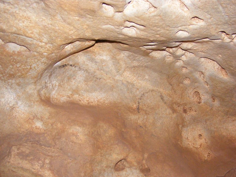 COLIBOAIA cal Foto Mihai BESESEK