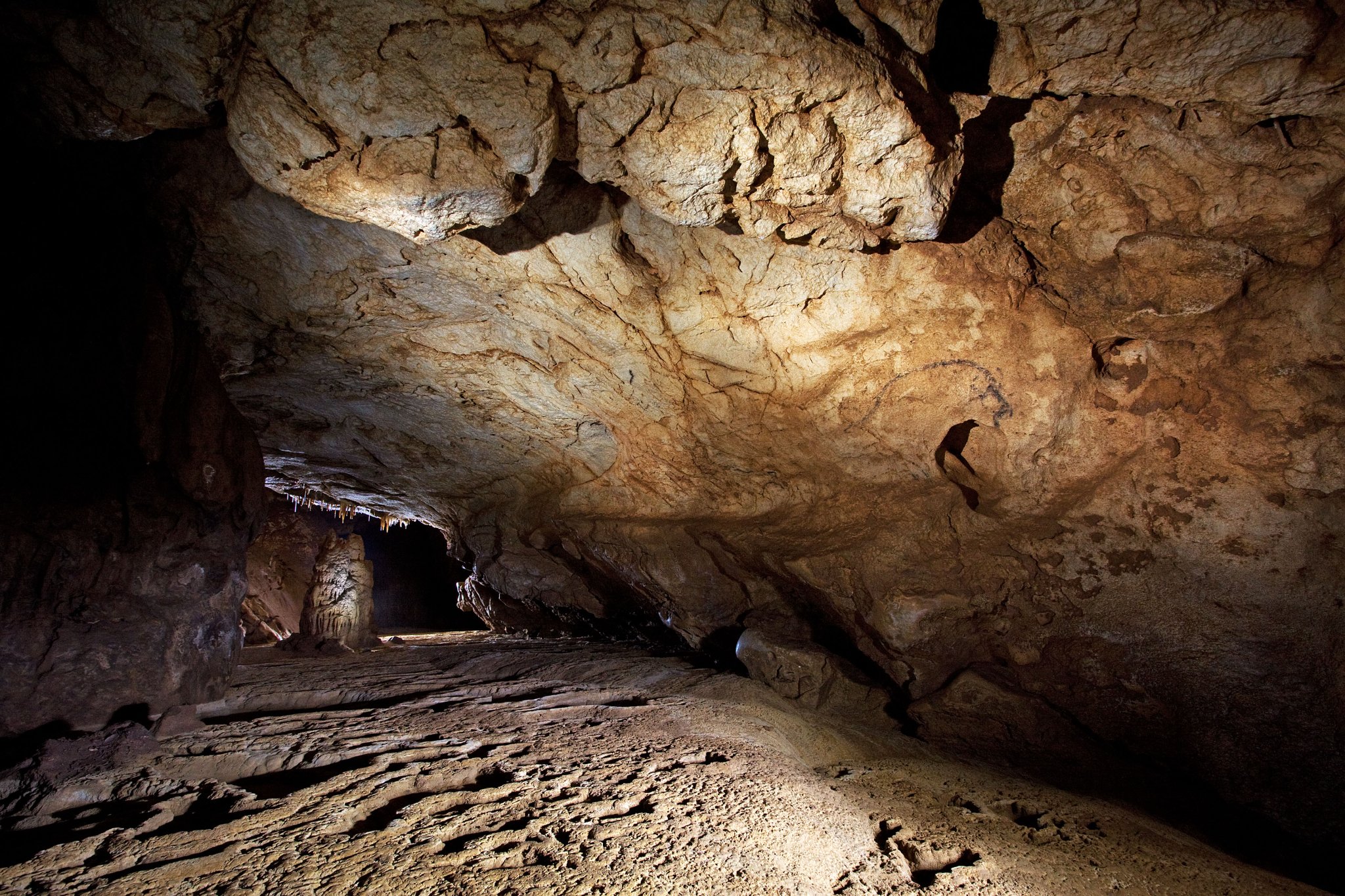 COLIBOAIA1 Andrei POSMOȘANU