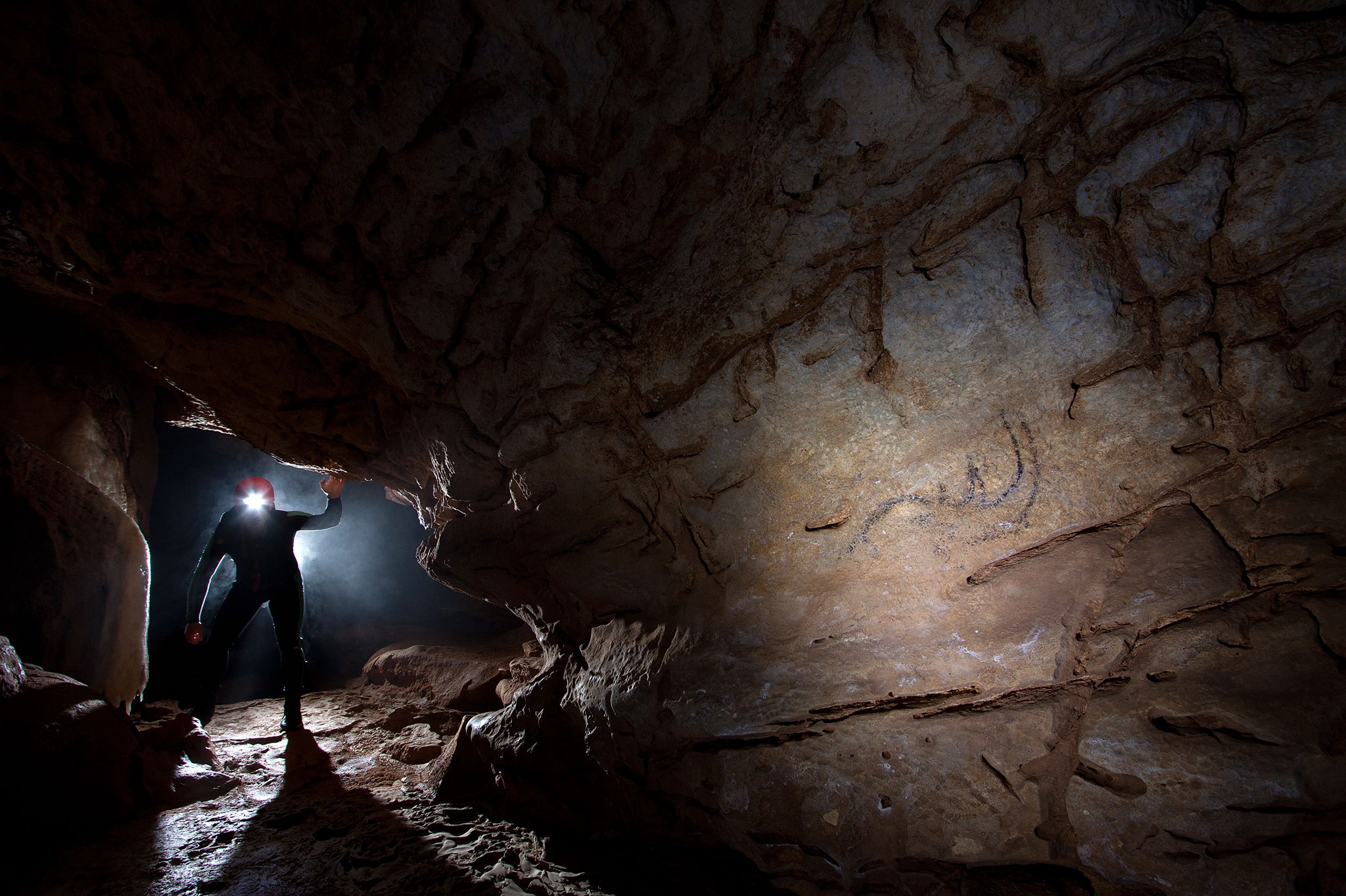 COLIBOAIA2 Andrei POSMOȘANU